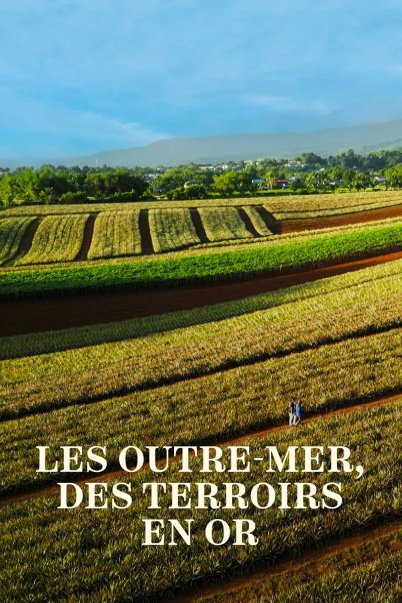 Les Outre-mer, des terroirs en or preview 2