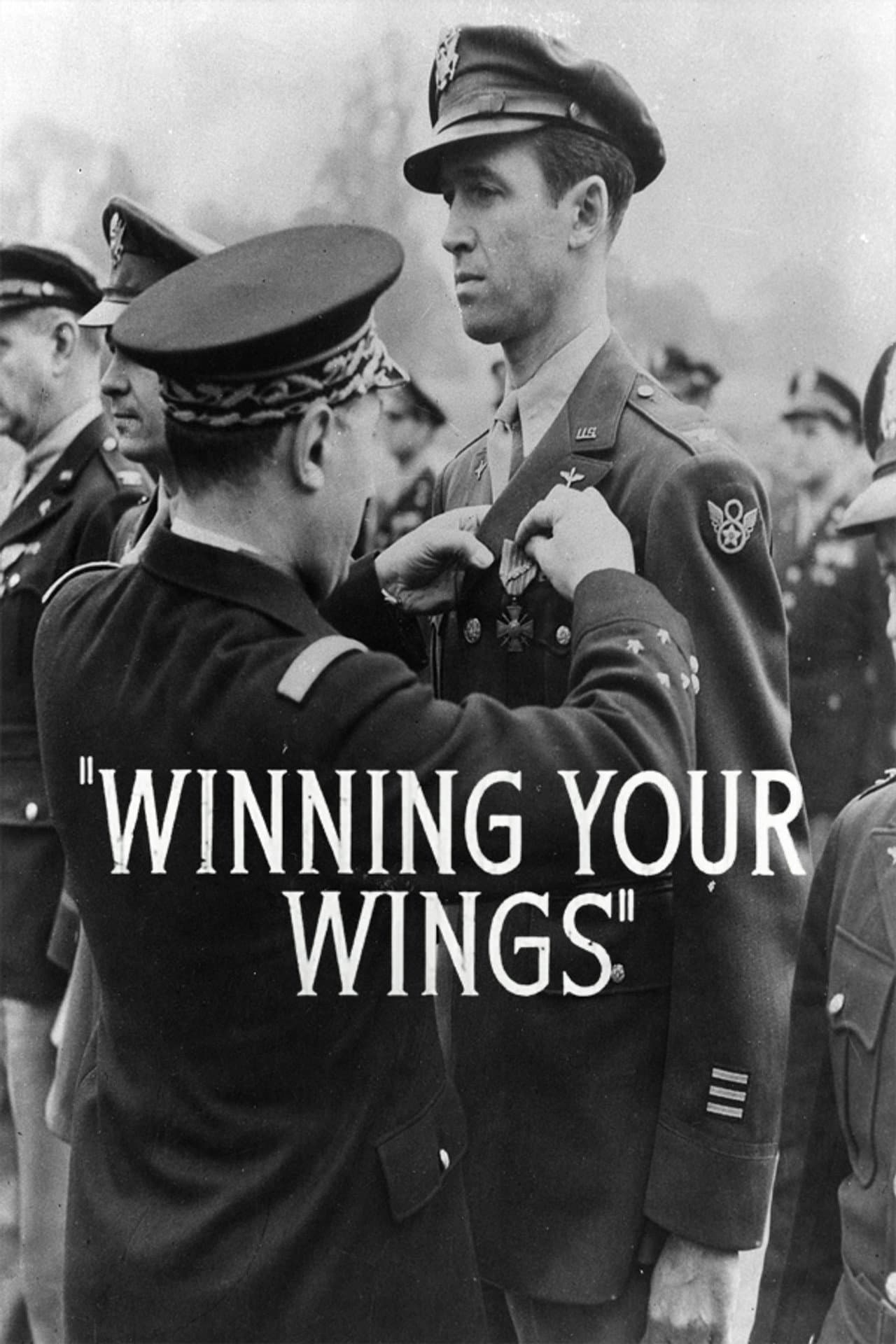 Winning Your Wings preview 1