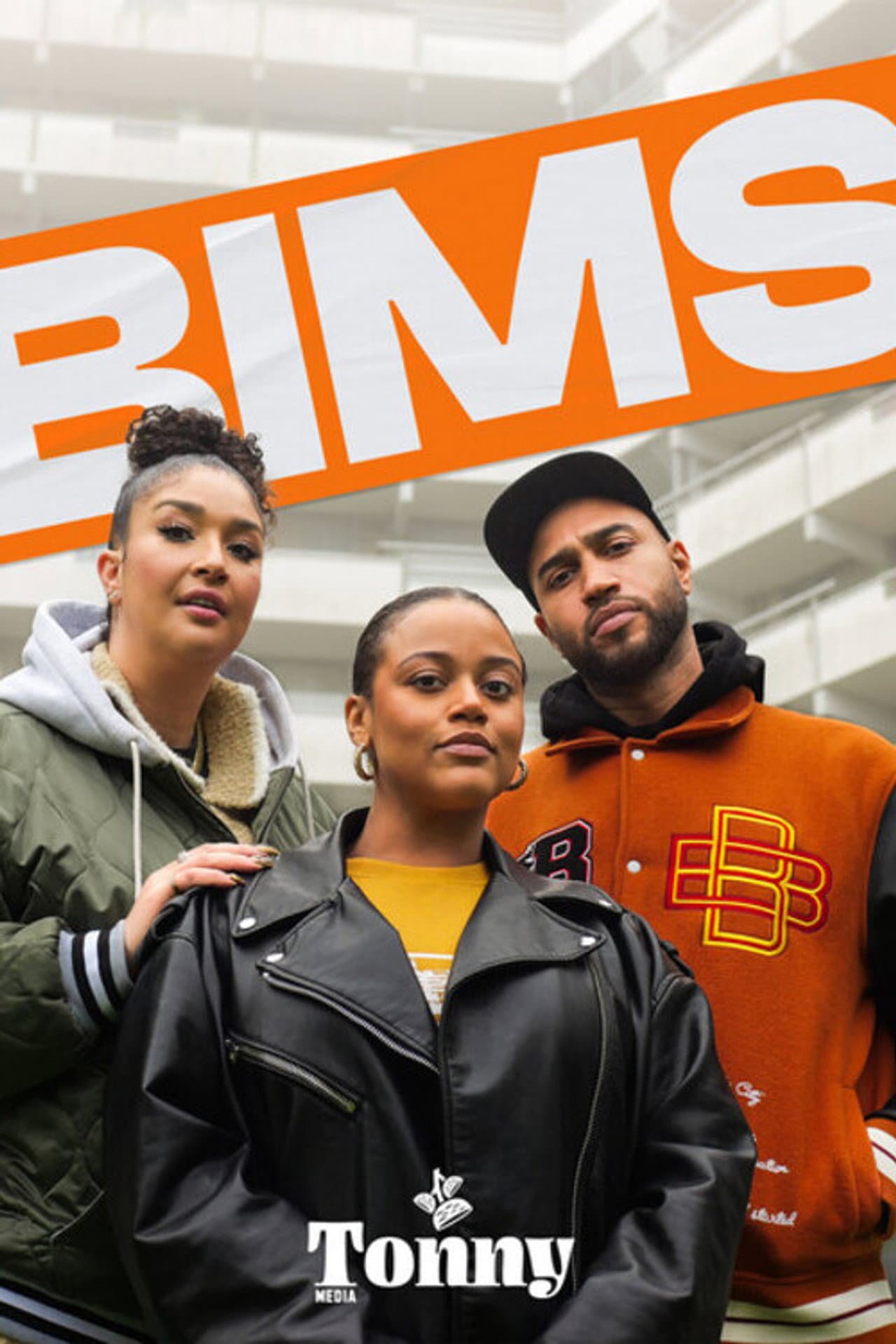 BIMS preview 2