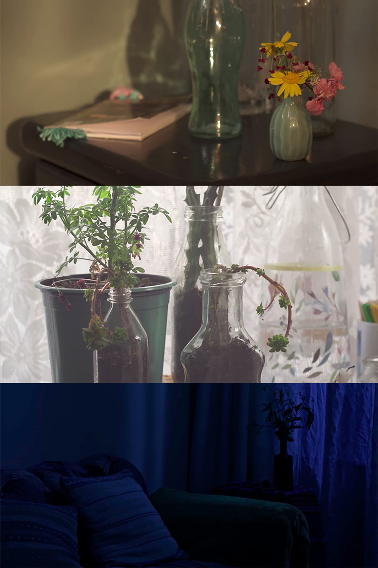 The Sleeping Beauty preview 1