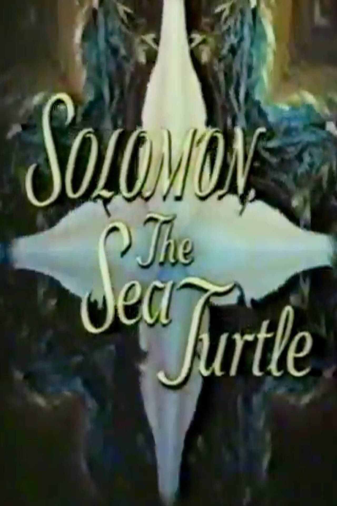 Solomon, the Sea Turtle preview 1