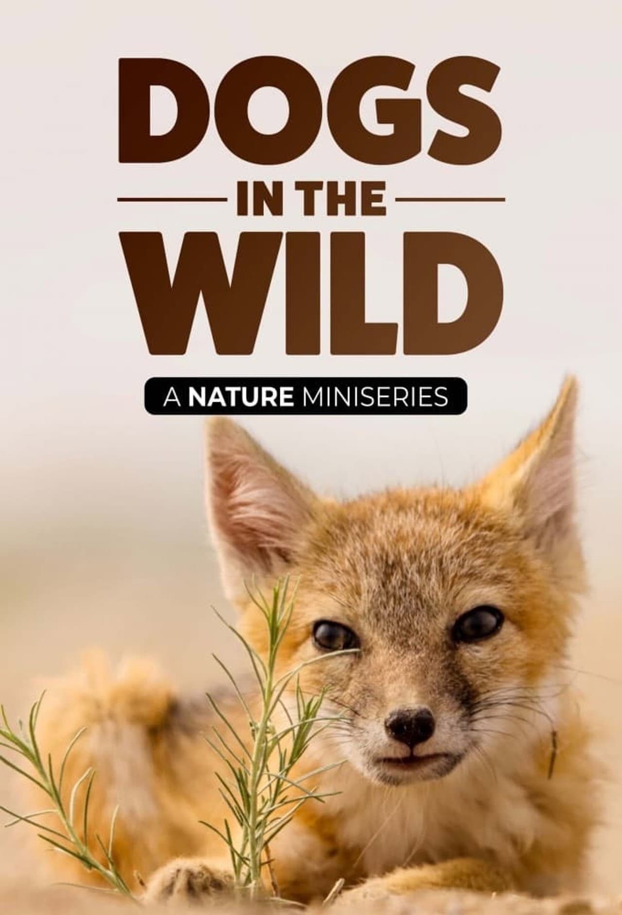 Dogs in the Wild: Meet the Family preview 2