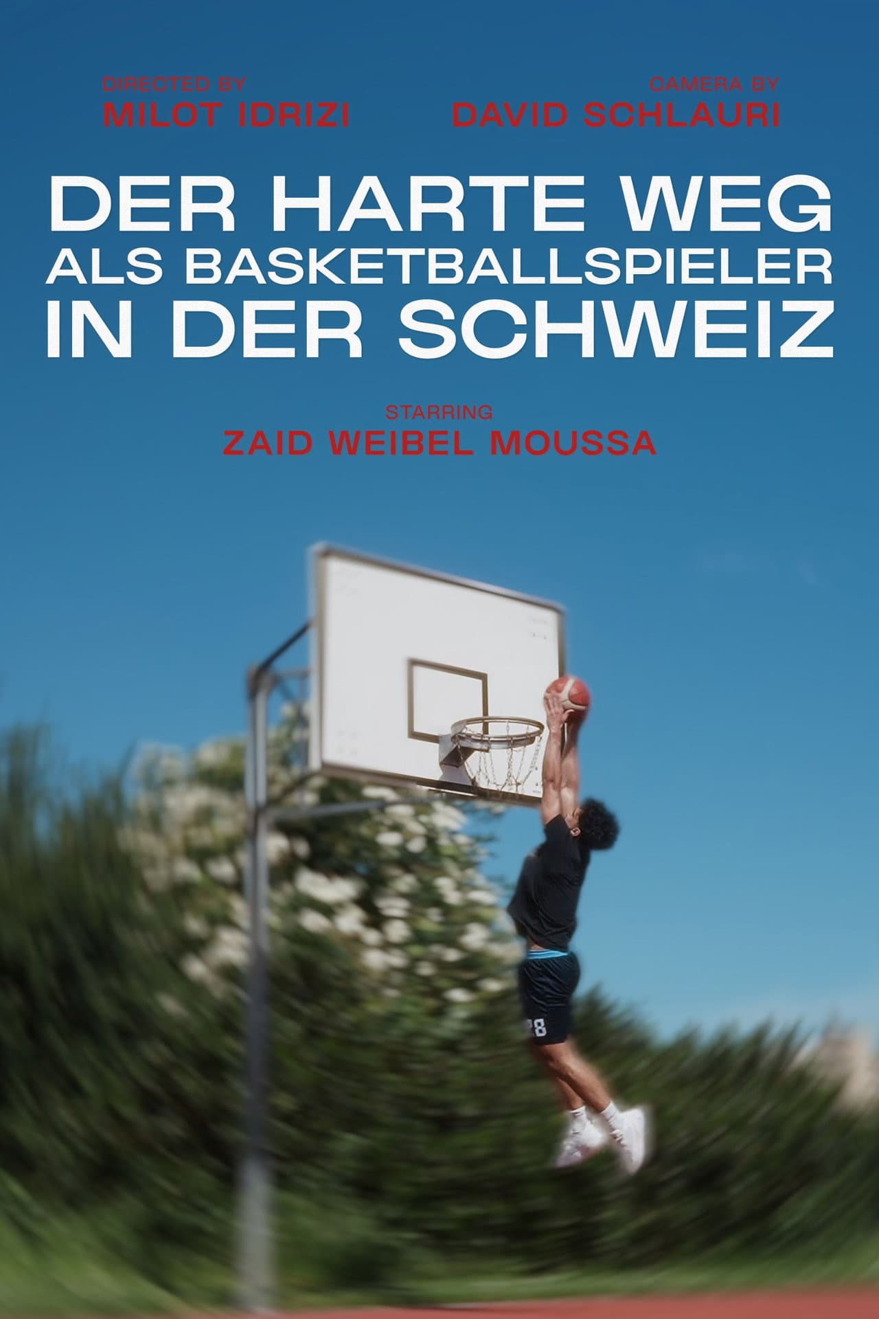Der harte Weg als Basketballspieler in der Schweiz preview 2