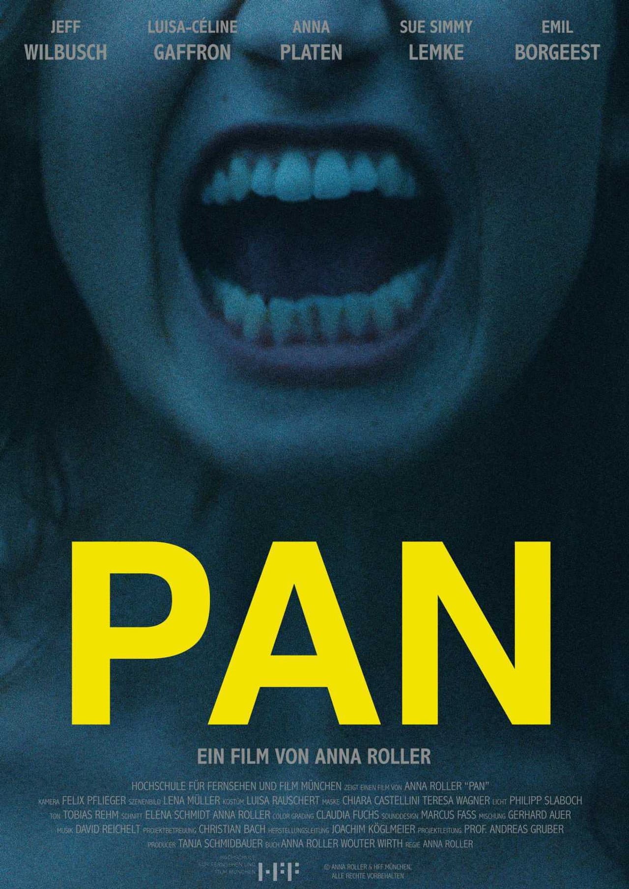 Pan preview 1
