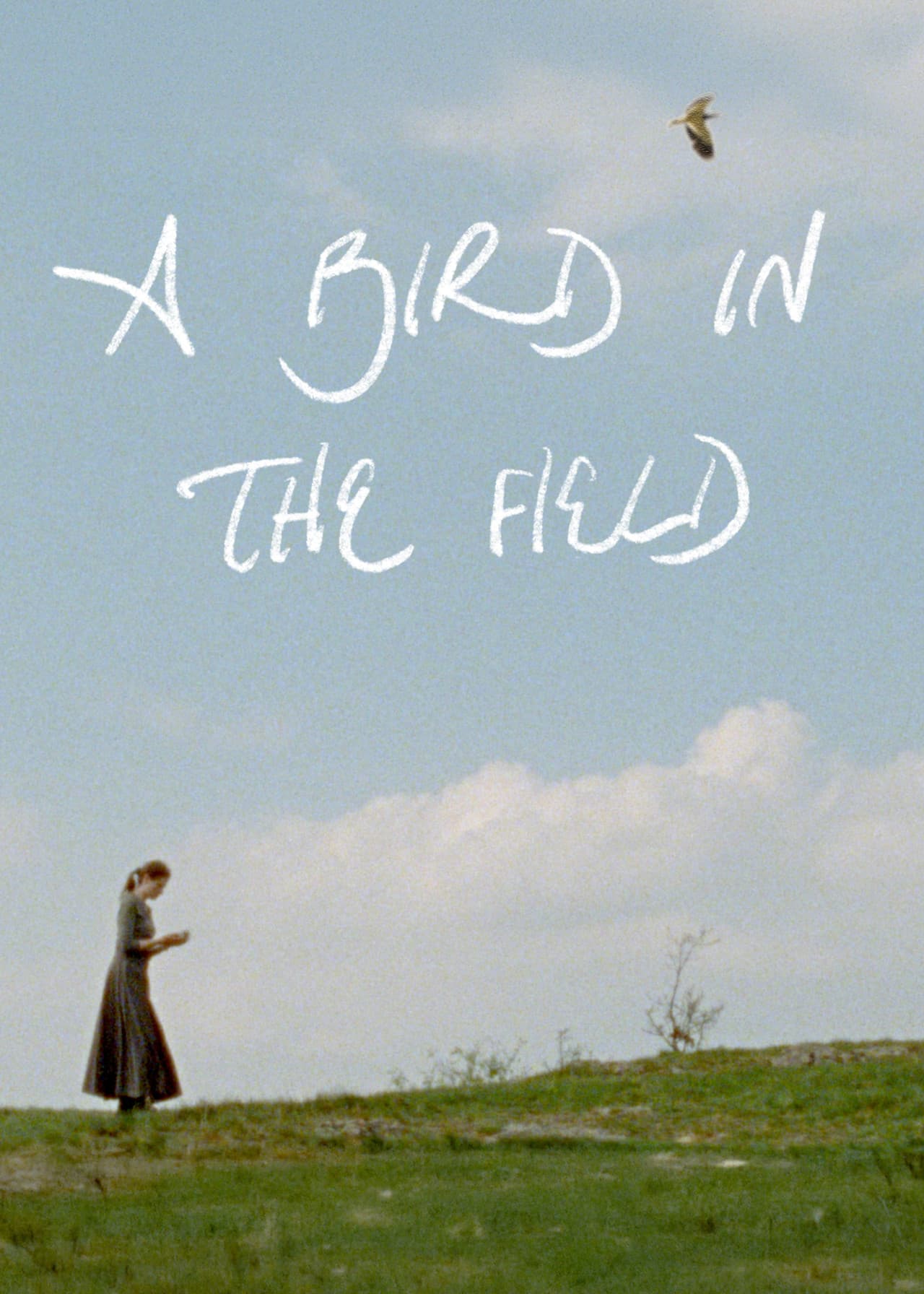 A Bird in the Field preview 2