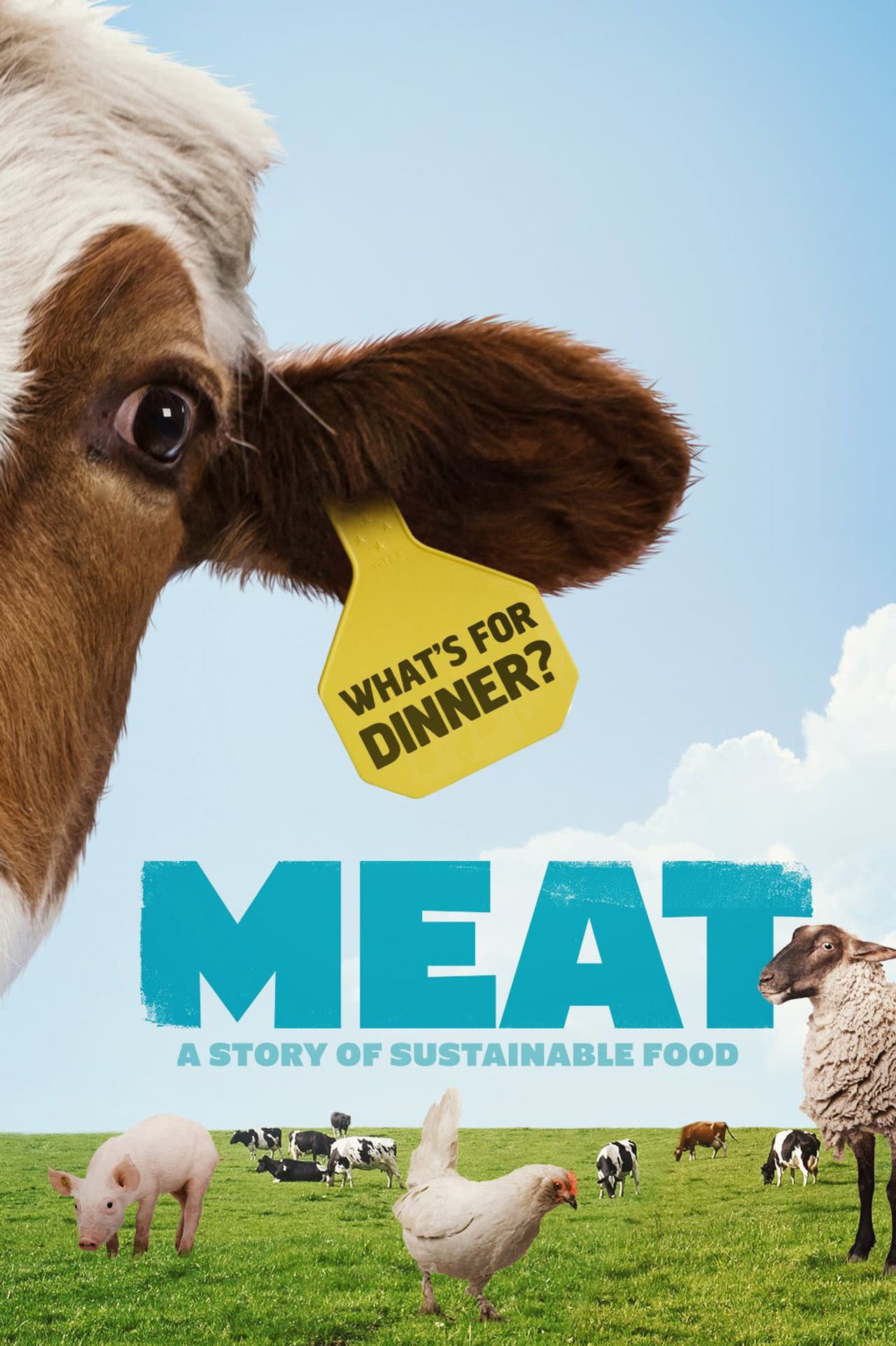Meat preview 2