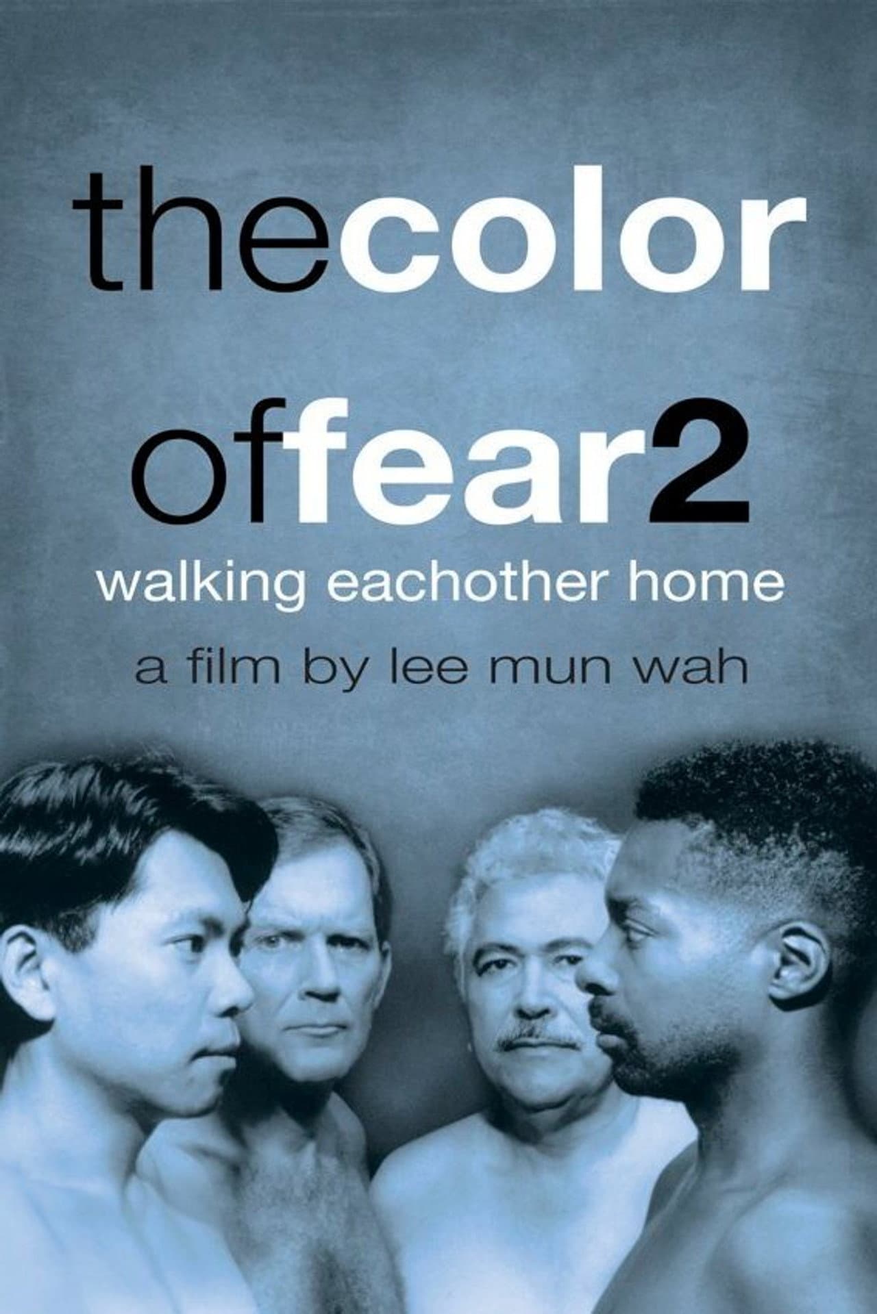 The Color of Fear 2: Walking Each Other Home preview 1
