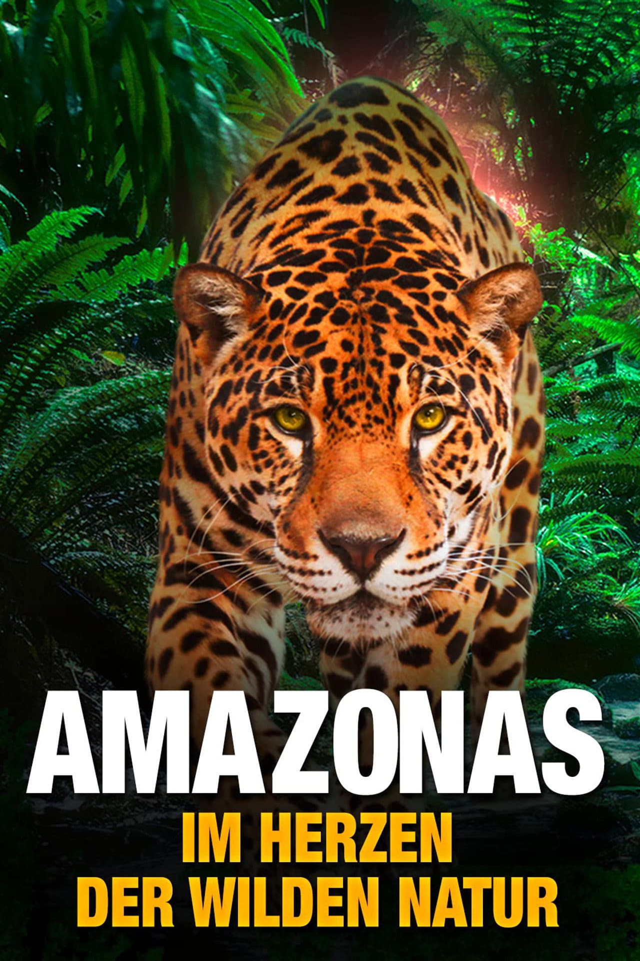 AMAZON 3D preview 1