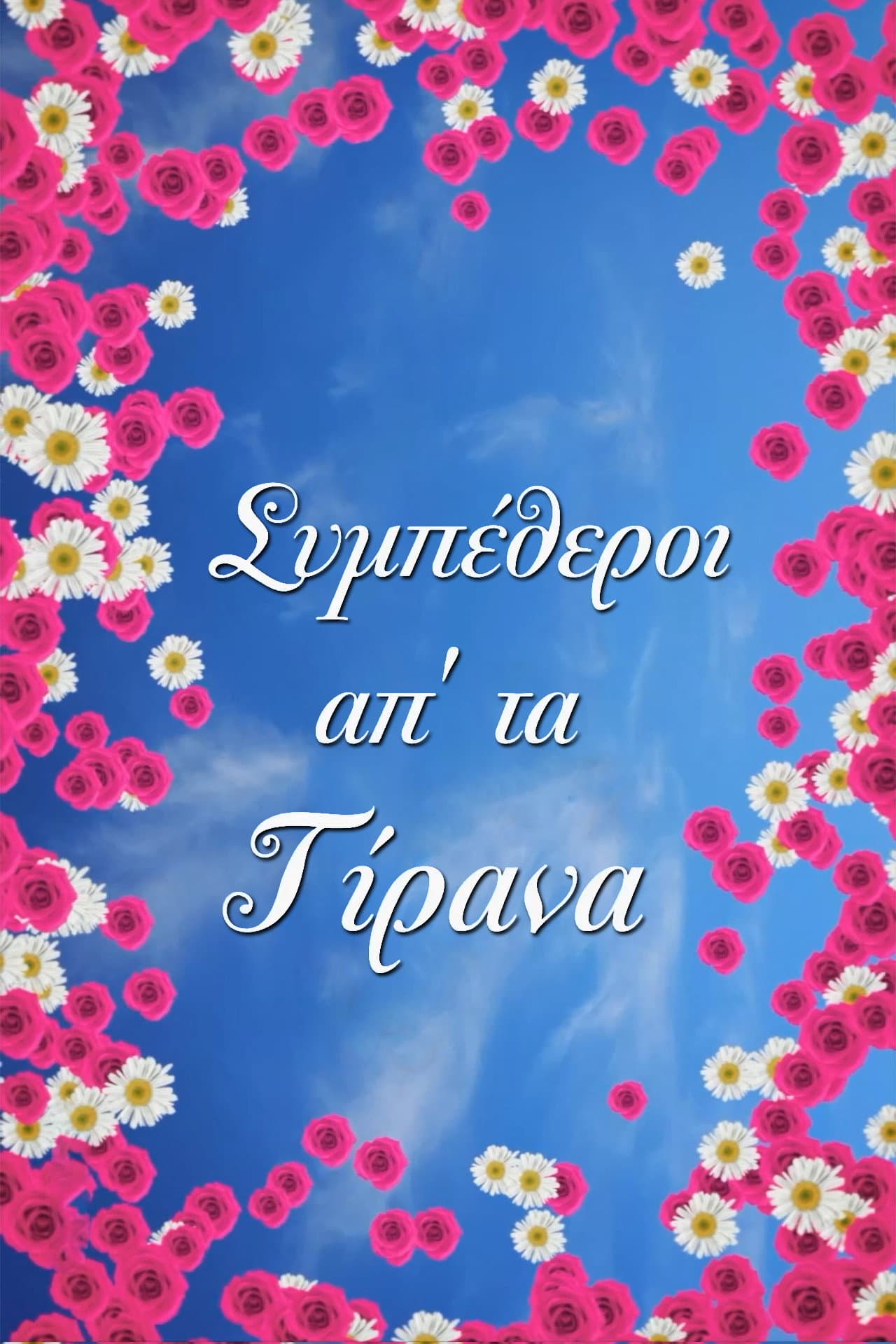 In laws from Tirana preview 2