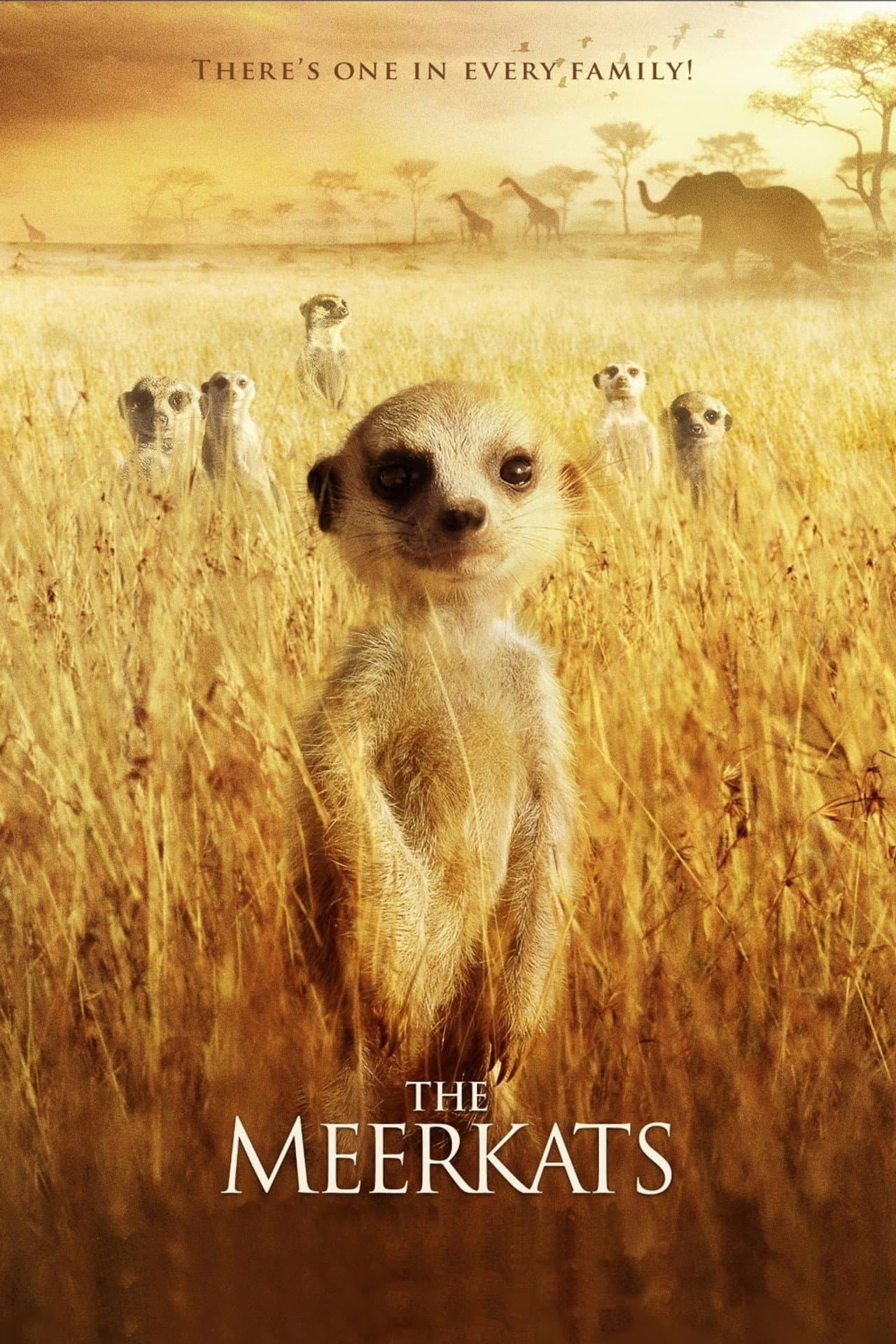 The Meerkats preview 2