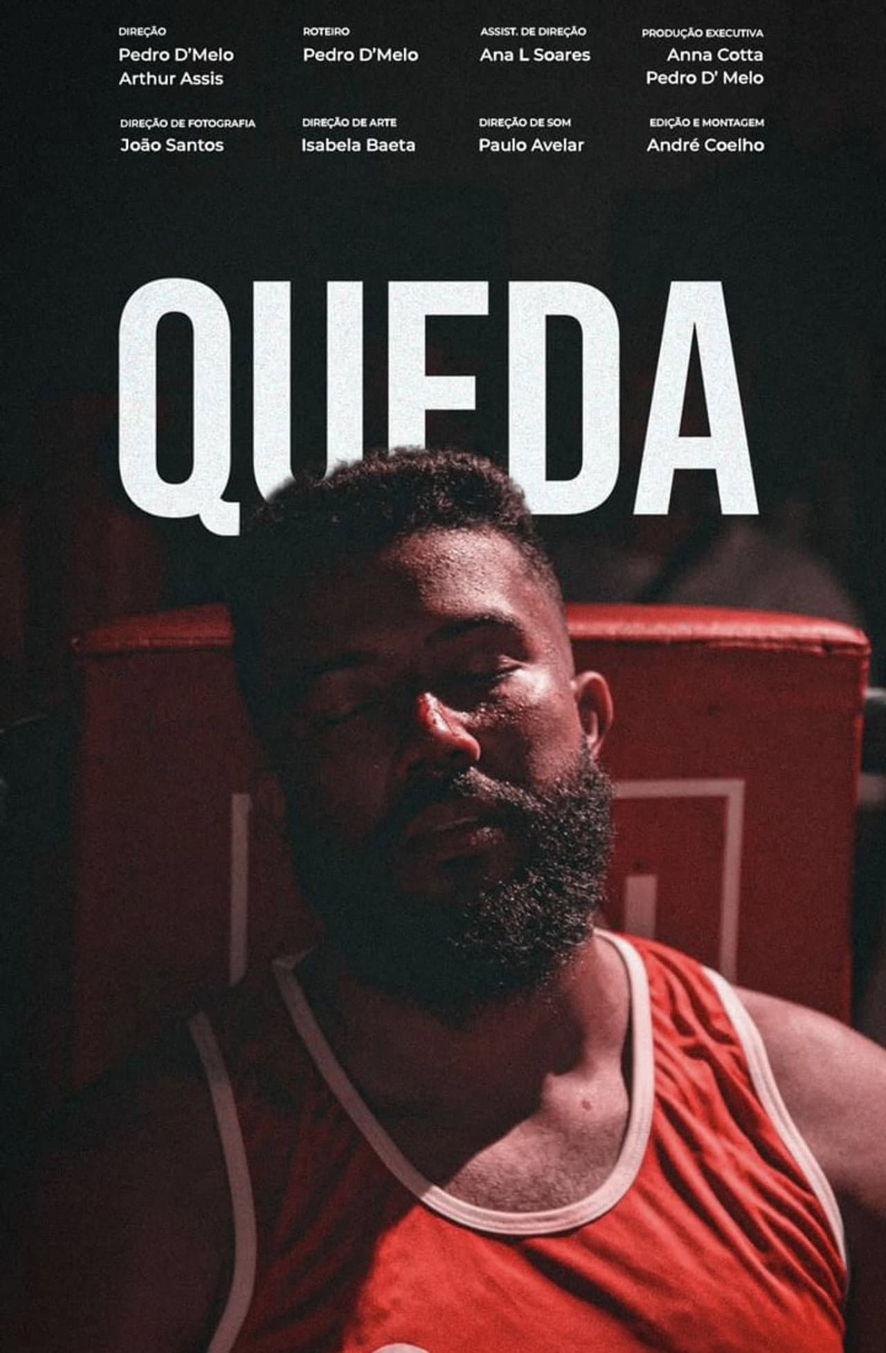 Queda preview 1