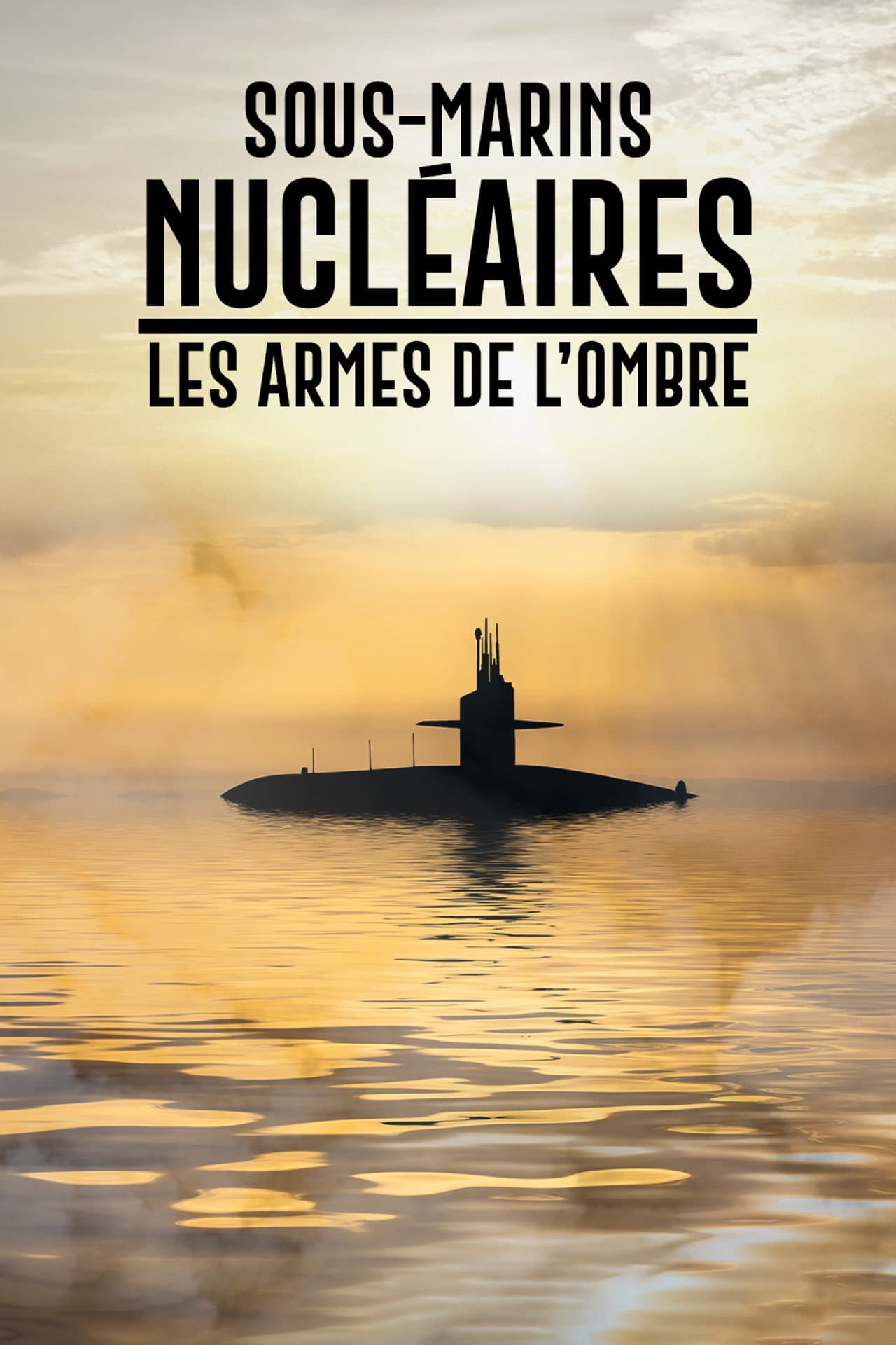 Sous-marins nucléaires  : Les Armes de l'ombre preview 2