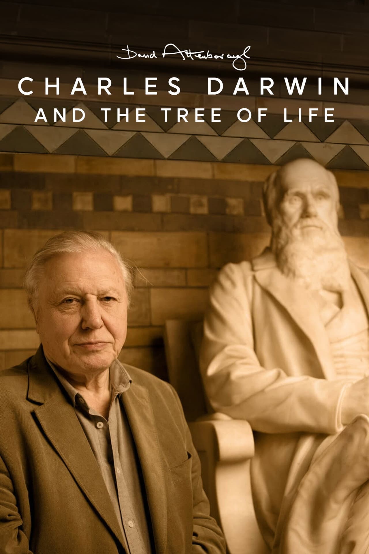 Charles Darwin and the Tree of Life preview 2