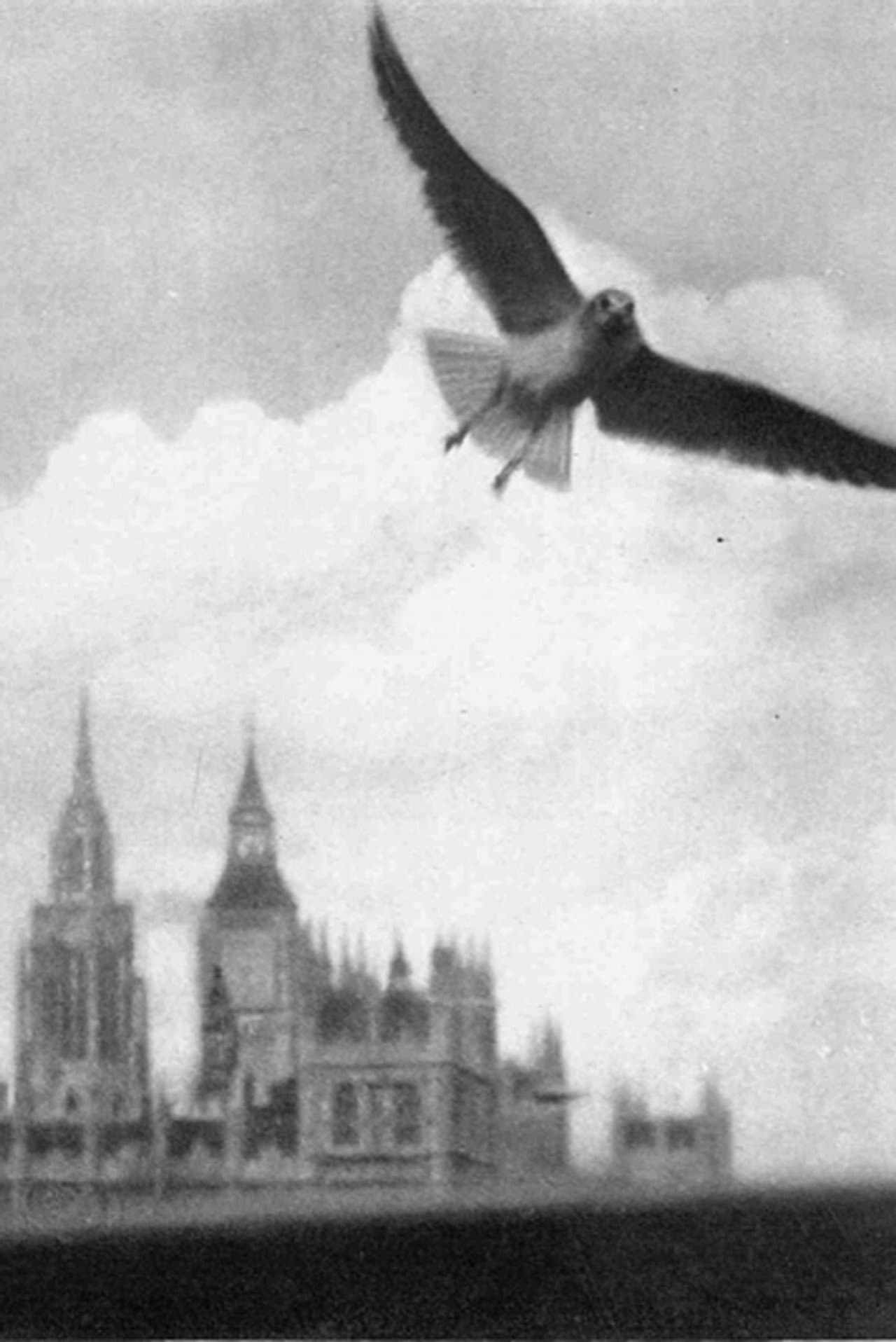 London Visitors preview 1