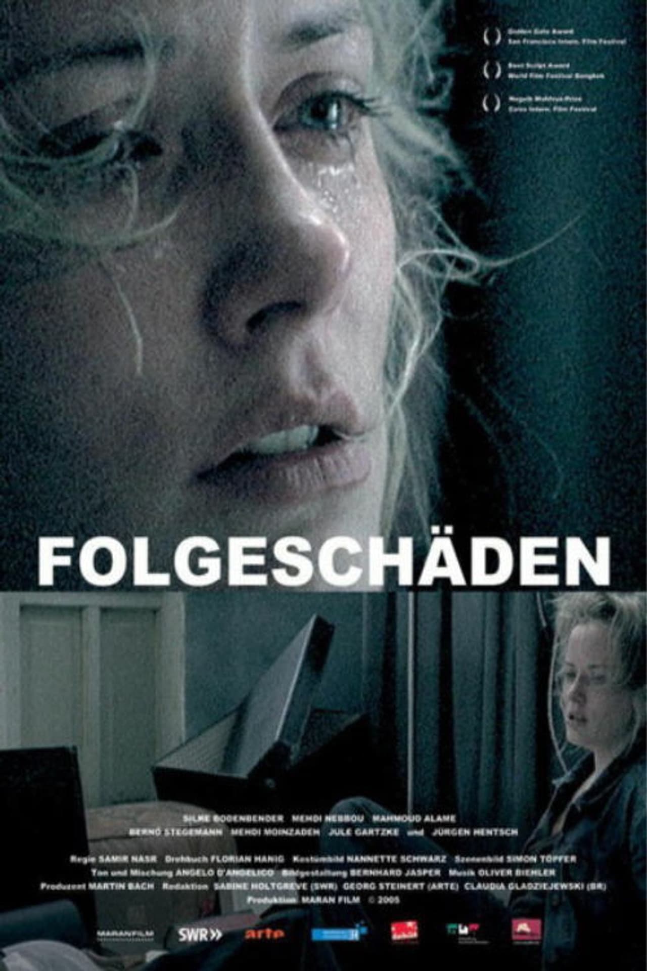 Folgeschäden preview 1