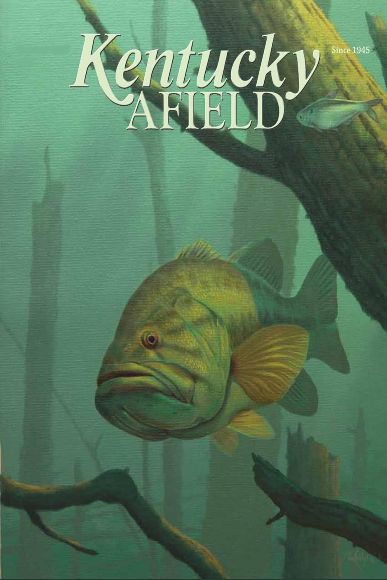 Kentucky Afield preview 2