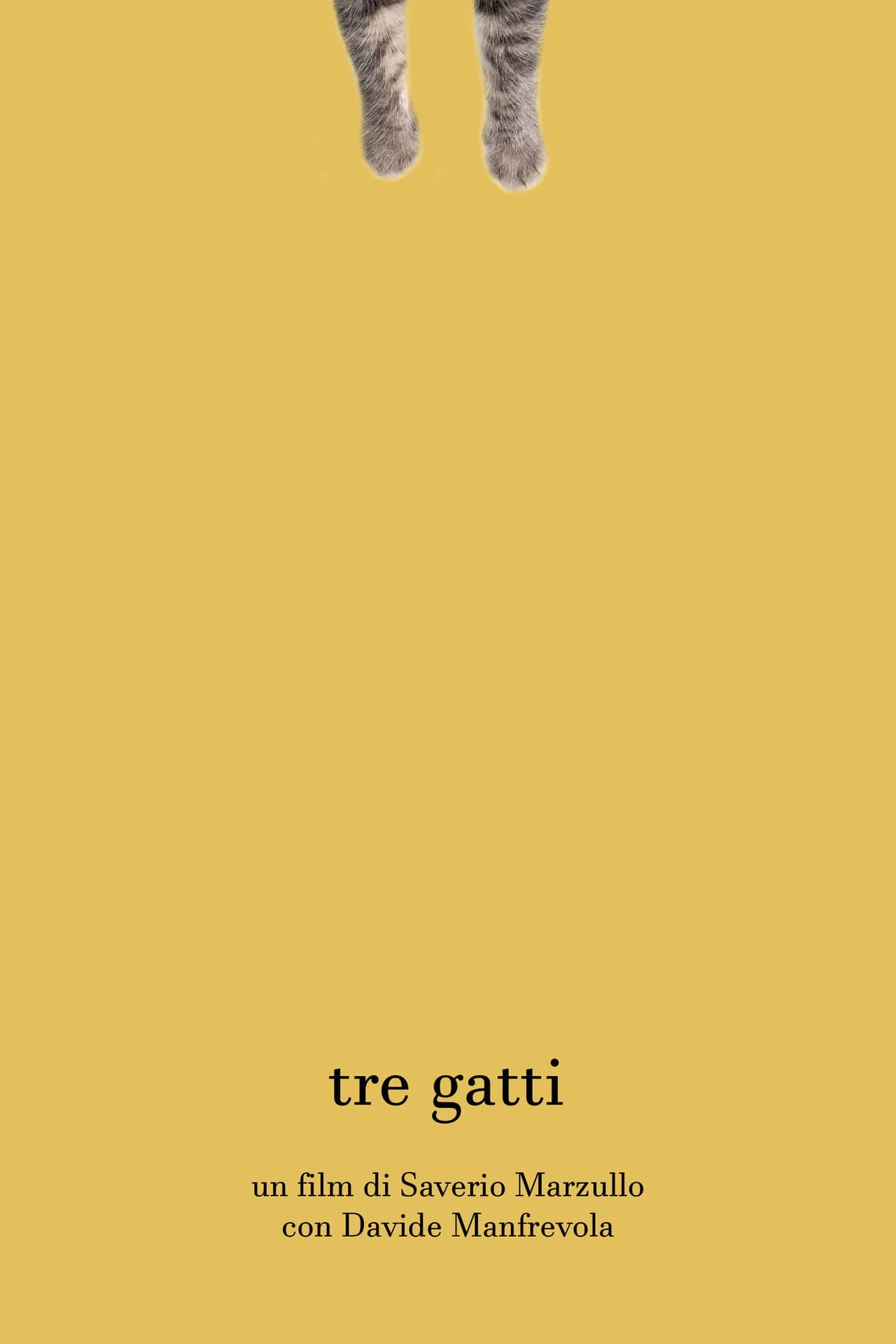 Three cats preview 2