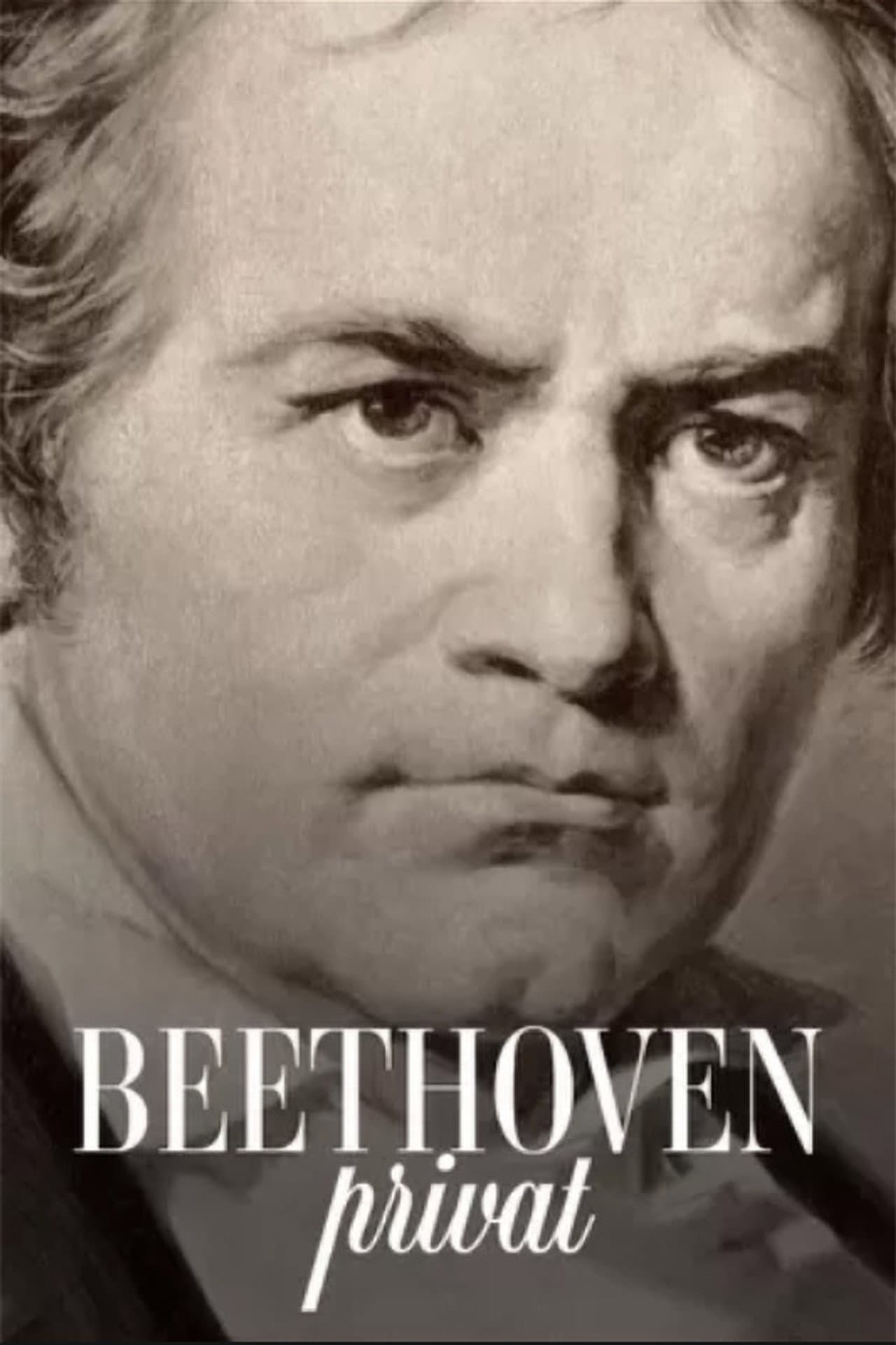 Beethoven privat preview 2