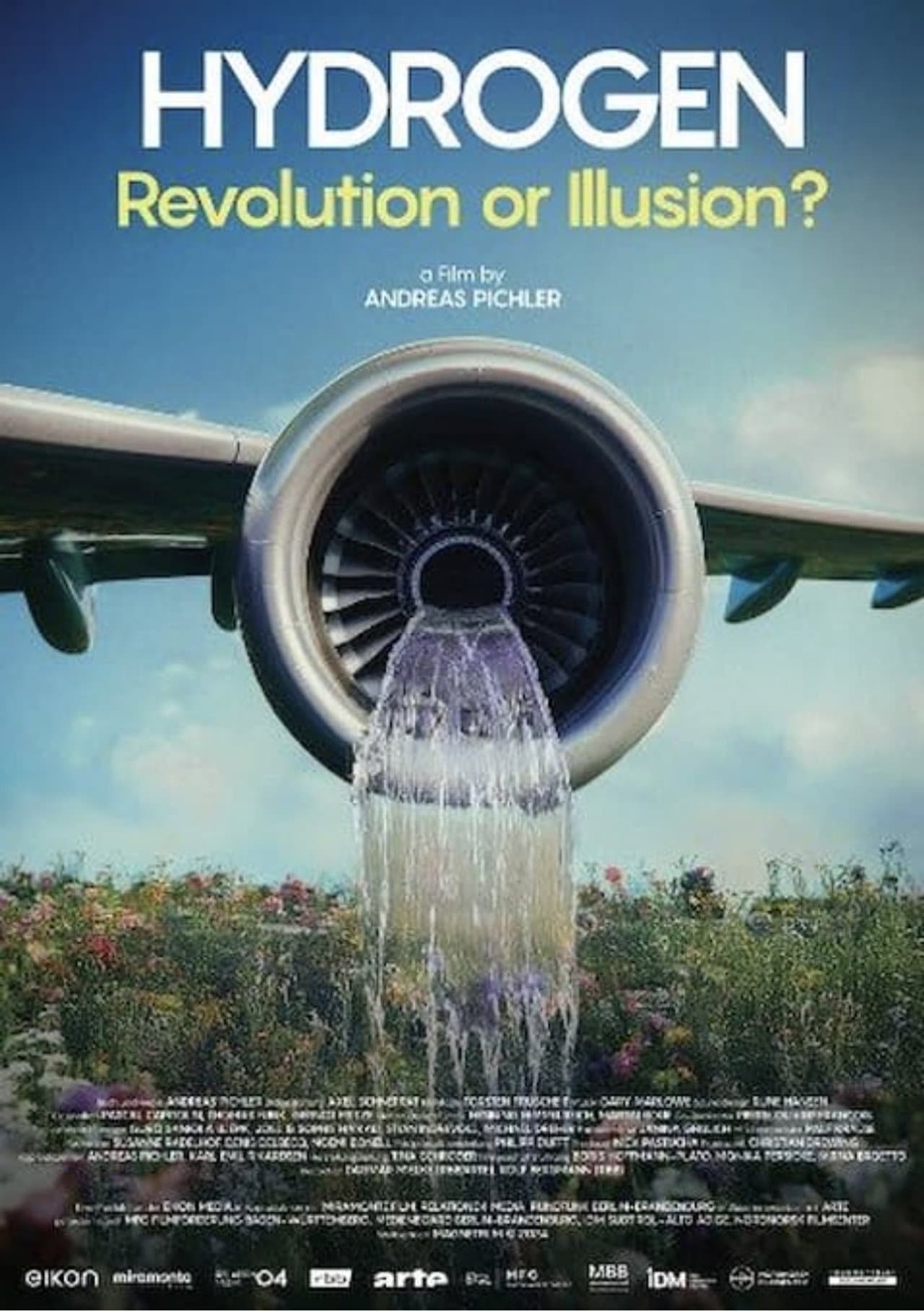 Hydrogen - Revolution or Illusion? preview 2