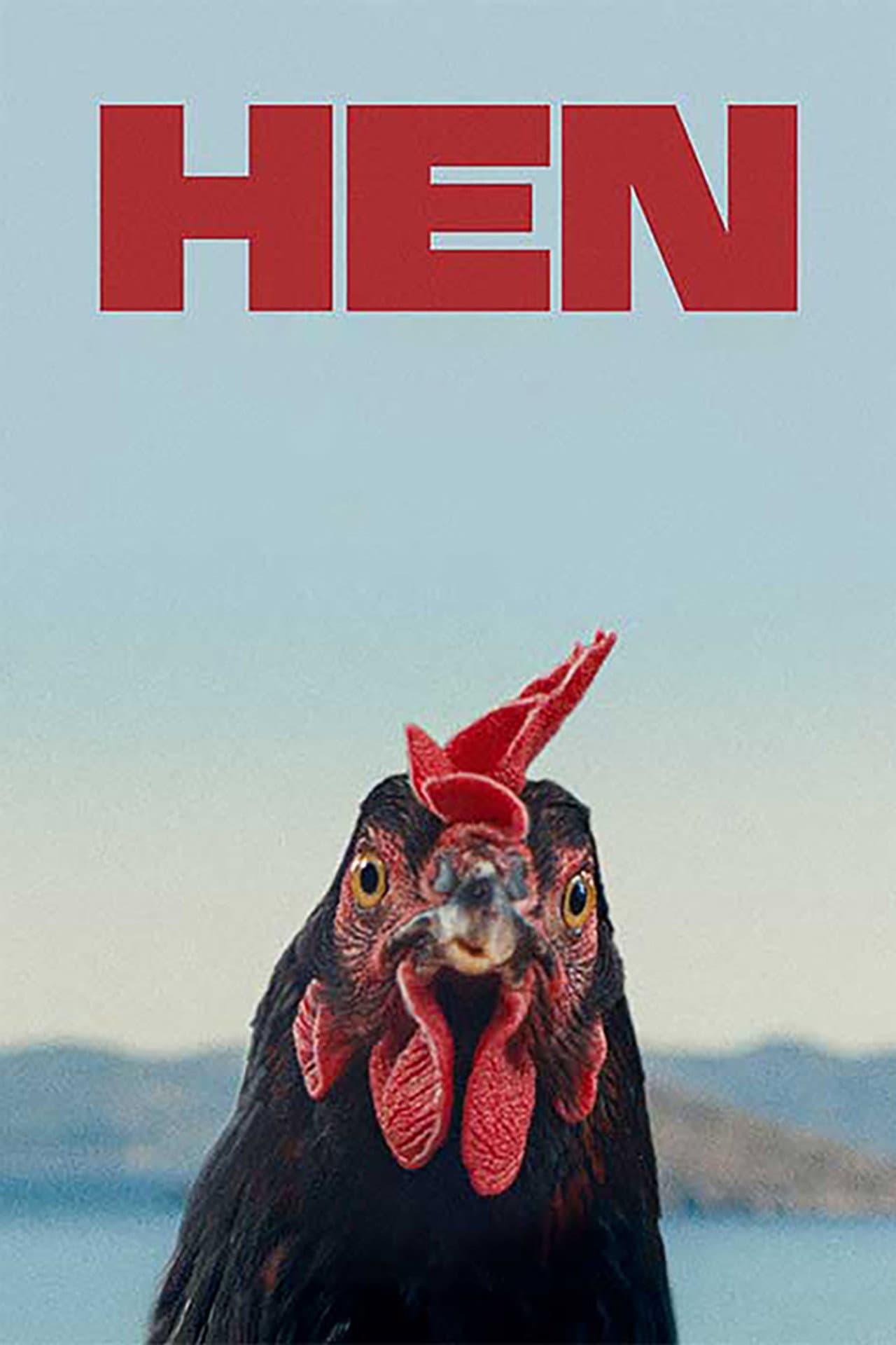 Hen preview 2