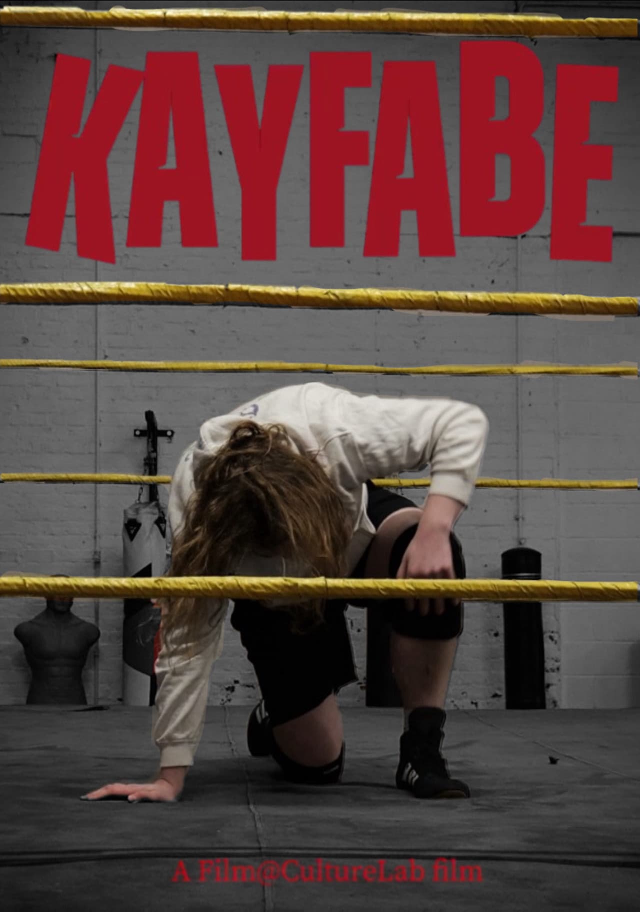 Kayfabe preview 2