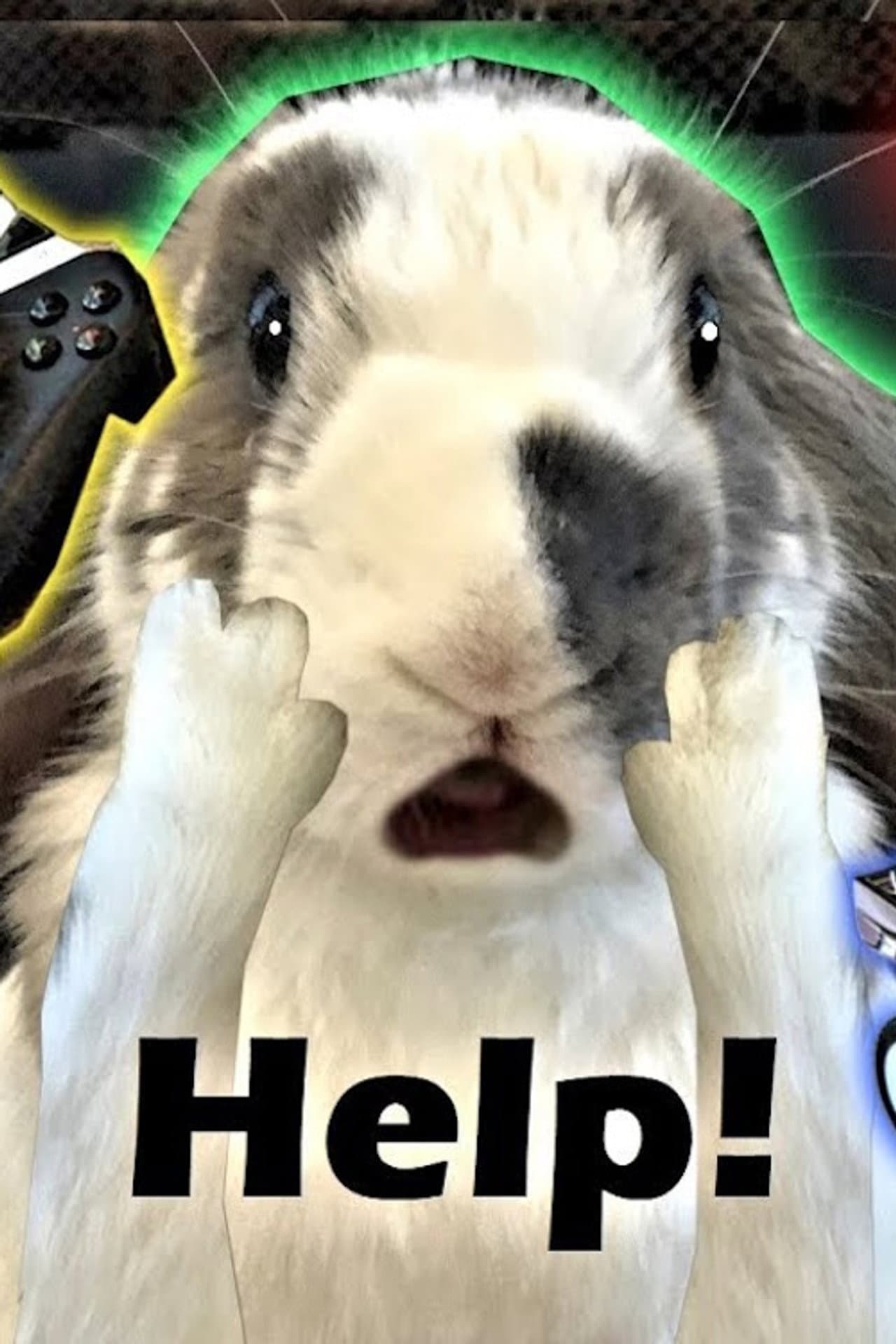 Rabbit Home Alone preview 1