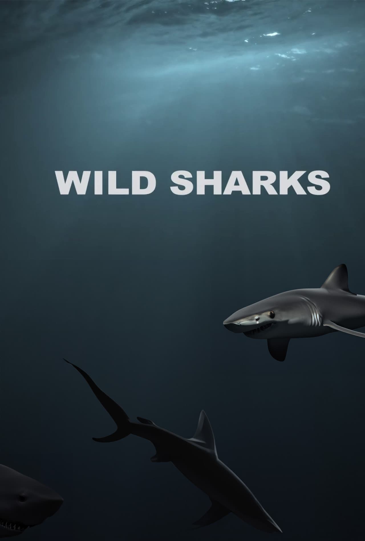 Wild Sharks preview 1