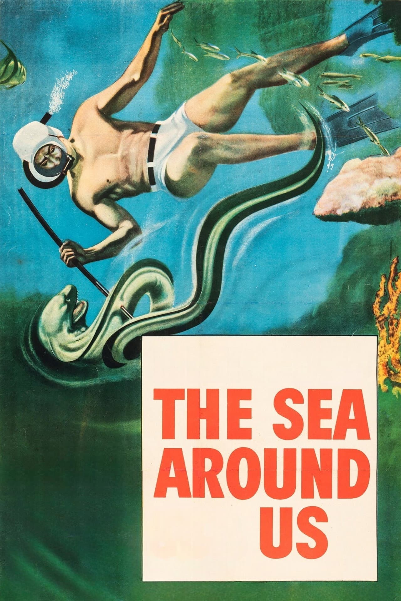 The Sea Around Us preview 2