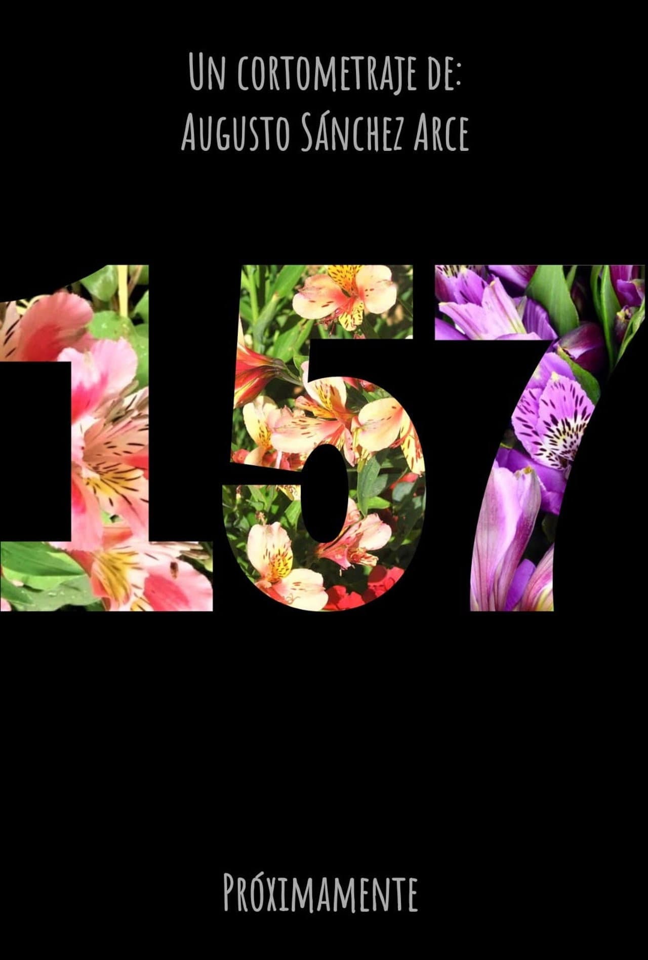 157 preview 1