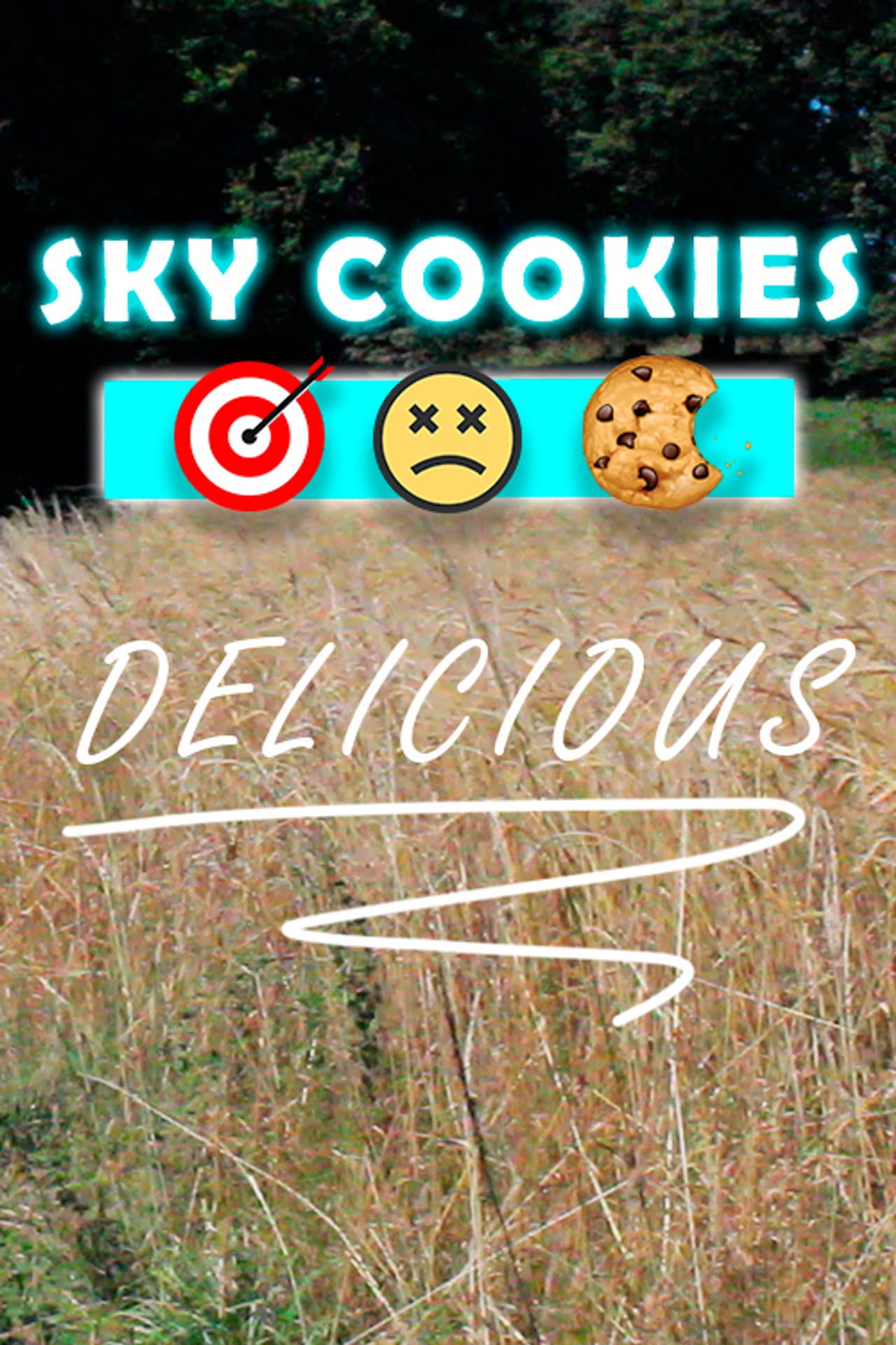 Sky cookies preview 1
