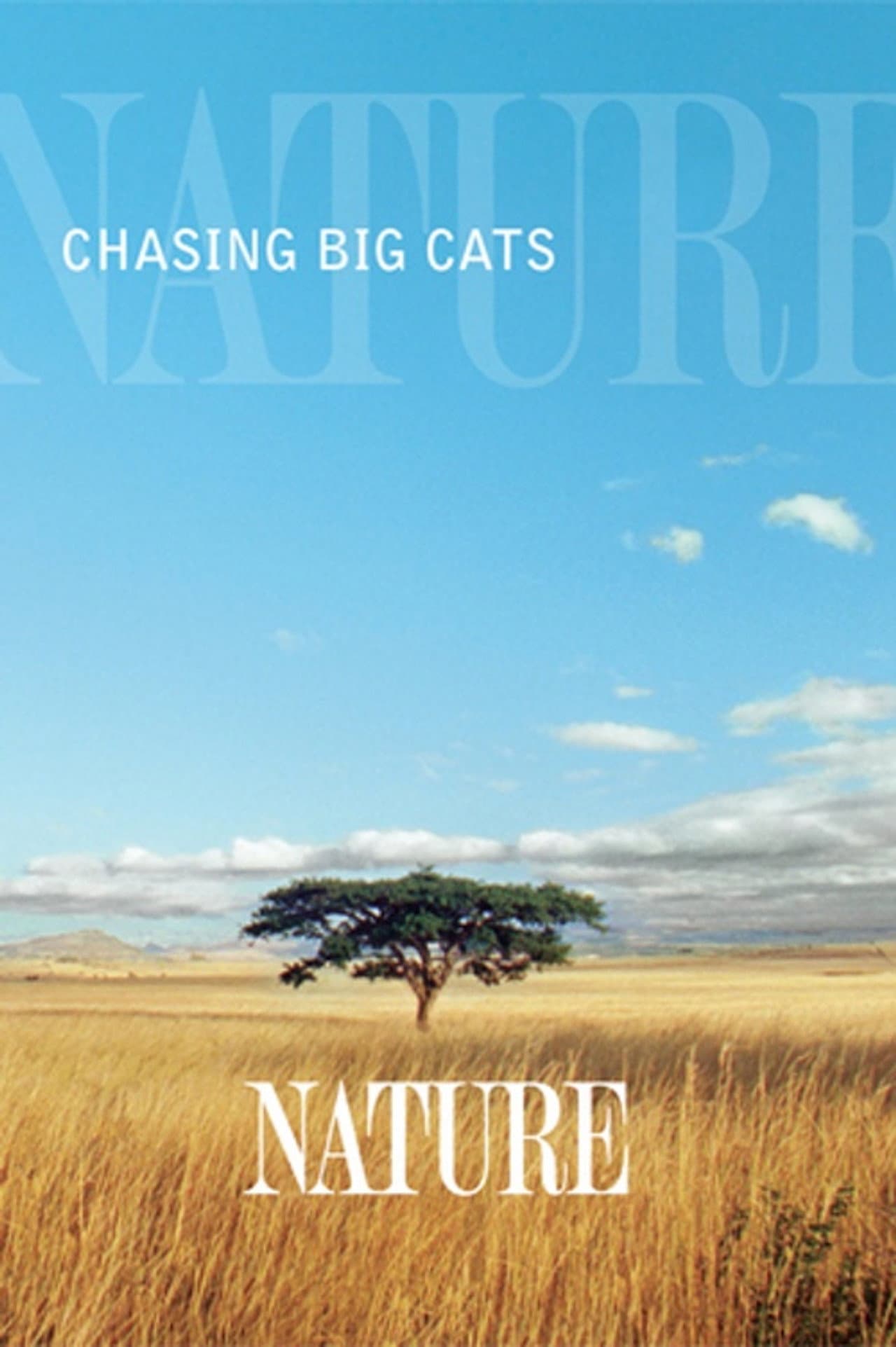 Chasing Big Cats preview 1