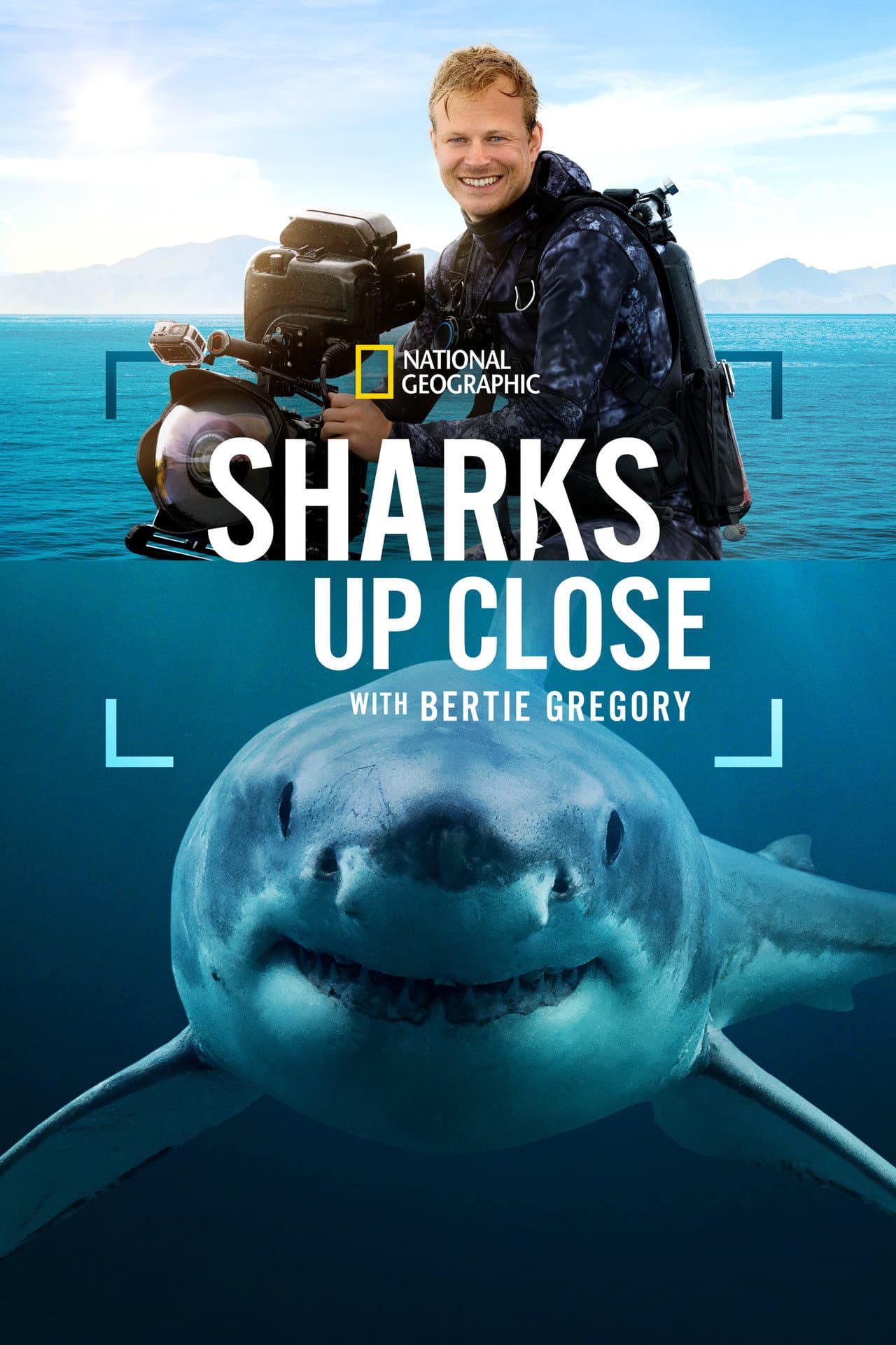 Sharks Up Close with Bertie Gregory preview 2