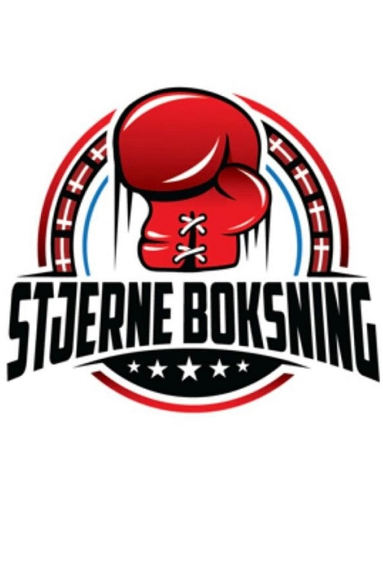 Stjerne Boksning preview 1