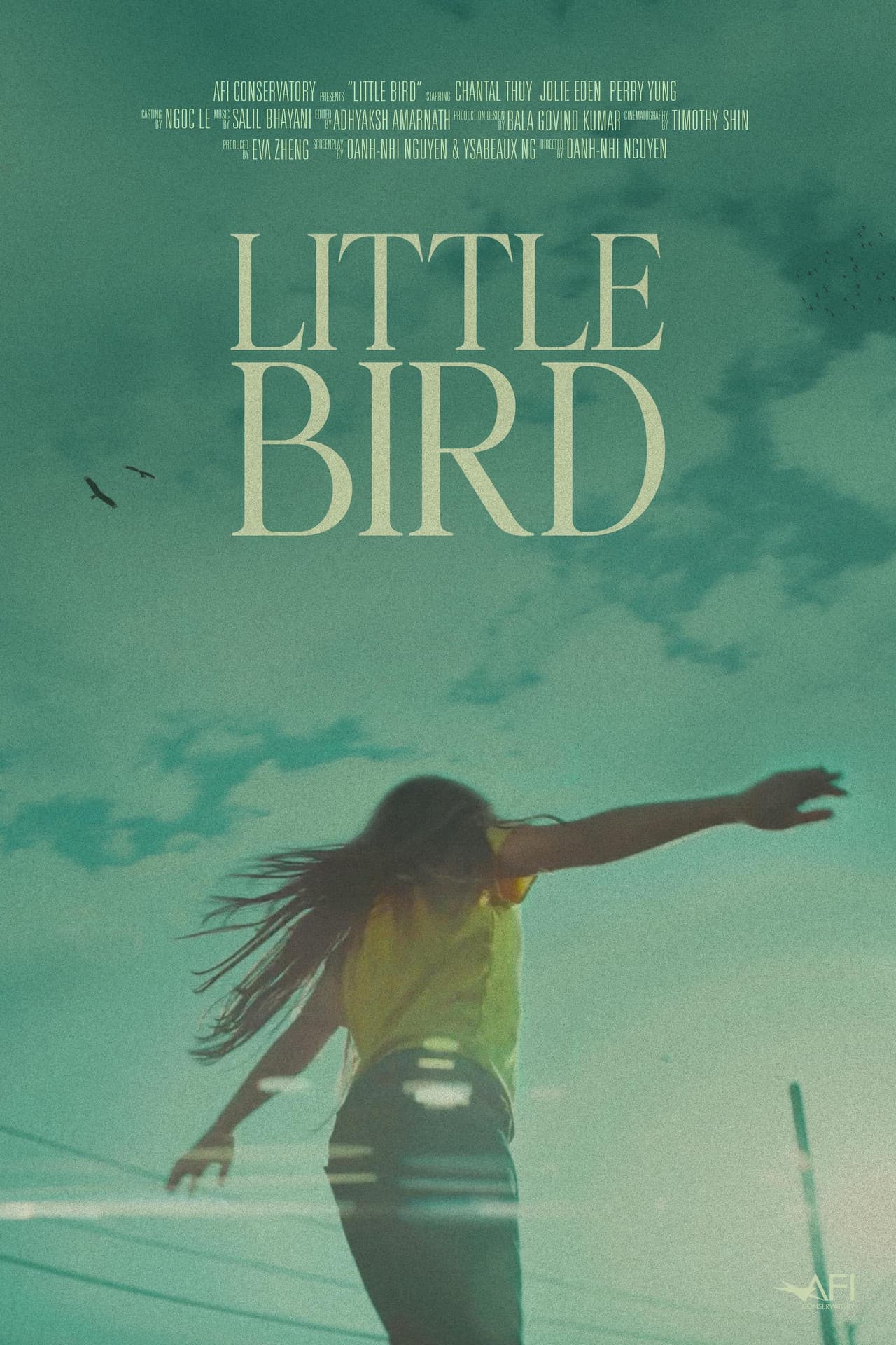 Little Bird preview 2