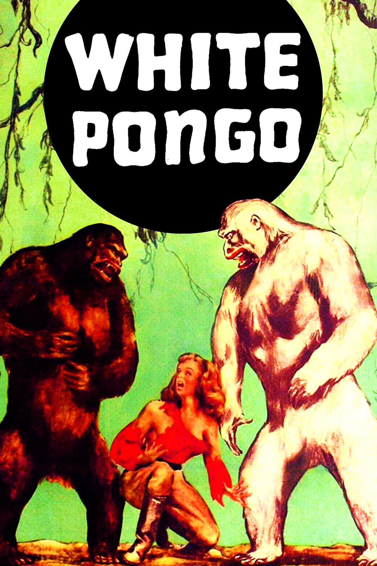 White Pongo preview 2