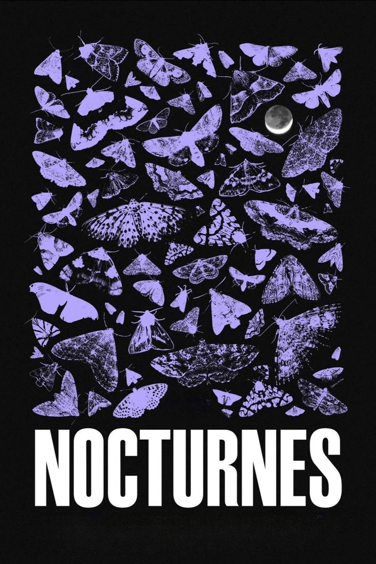 Nocturnes preview 2