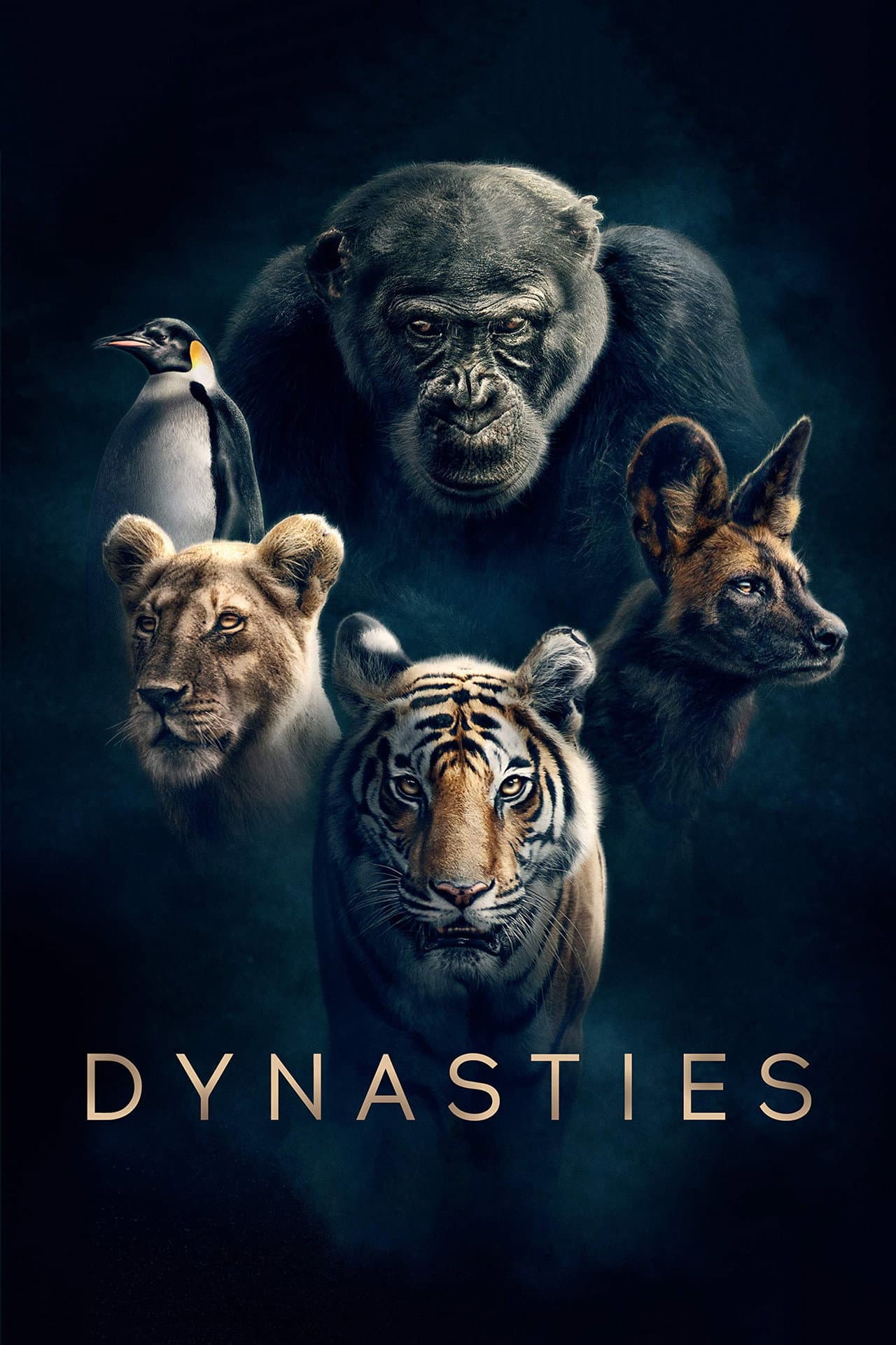 Dynasties preview 2