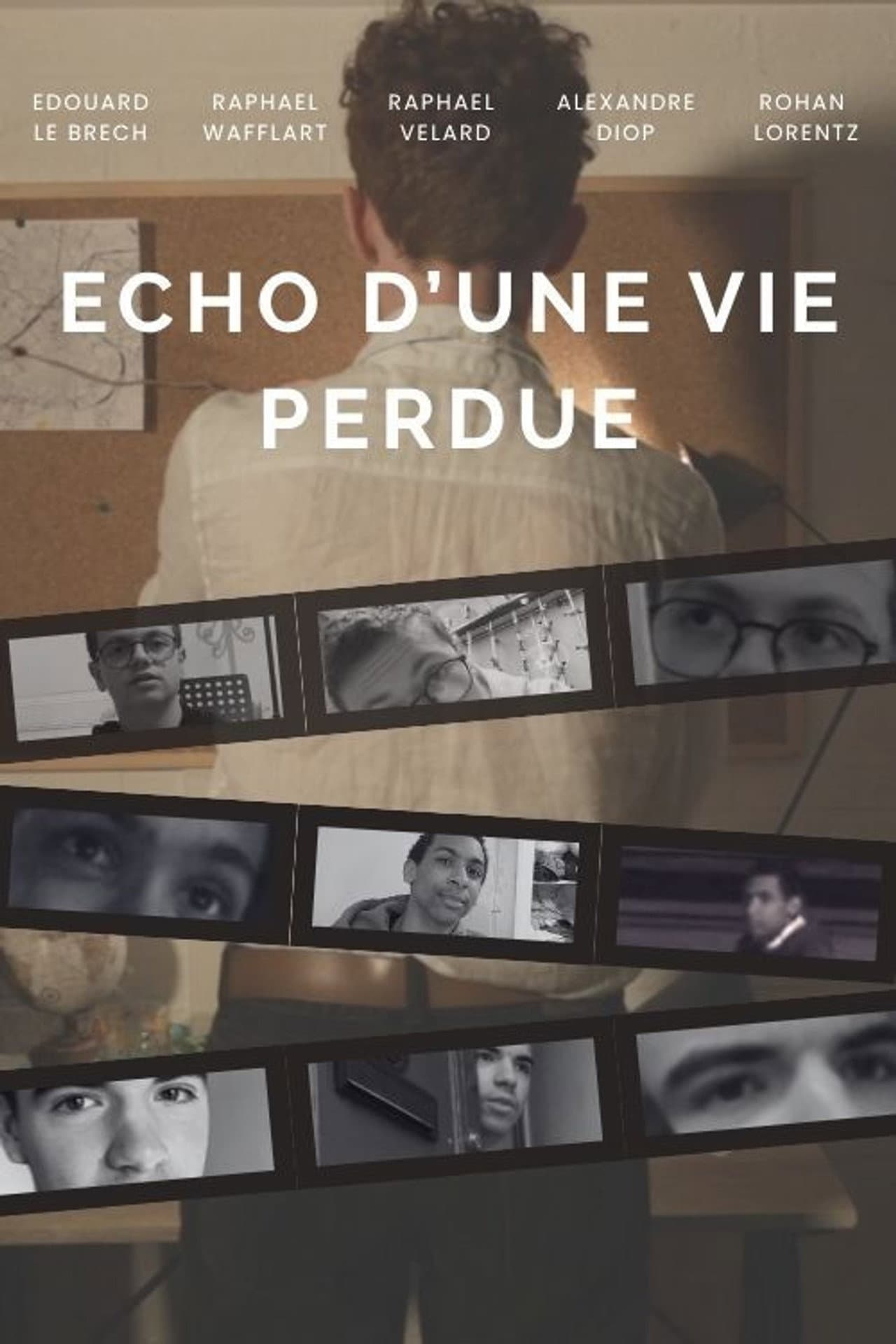 Echo d'une vie perdue preview 2