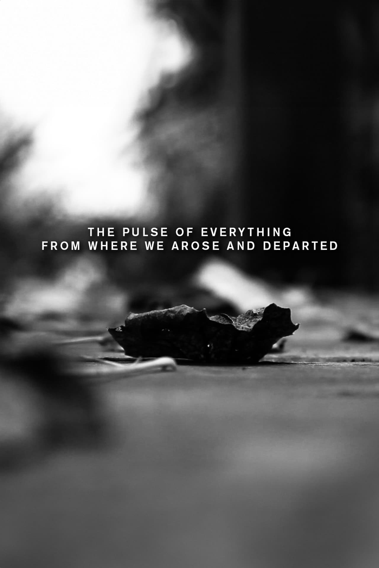 The pulse of everything from where we arose and departed preview 2