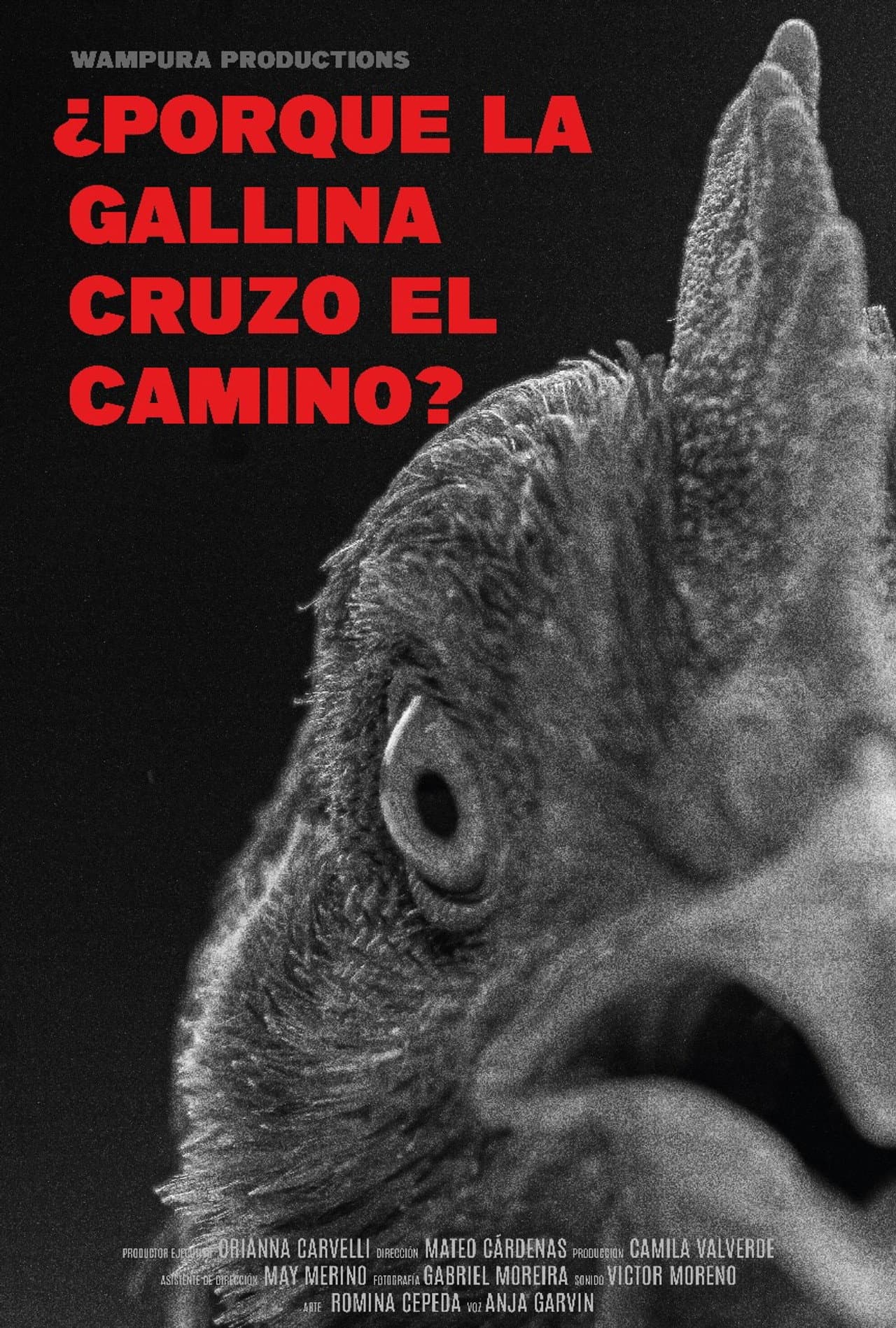 ¿Por qué la gallina cruzó el camino? preview 2