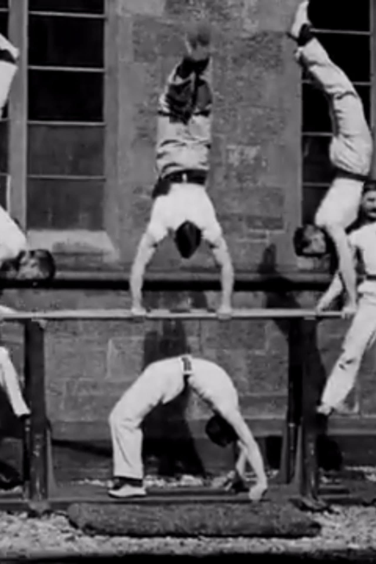 Gymnasts on Parallel Bars preview 1