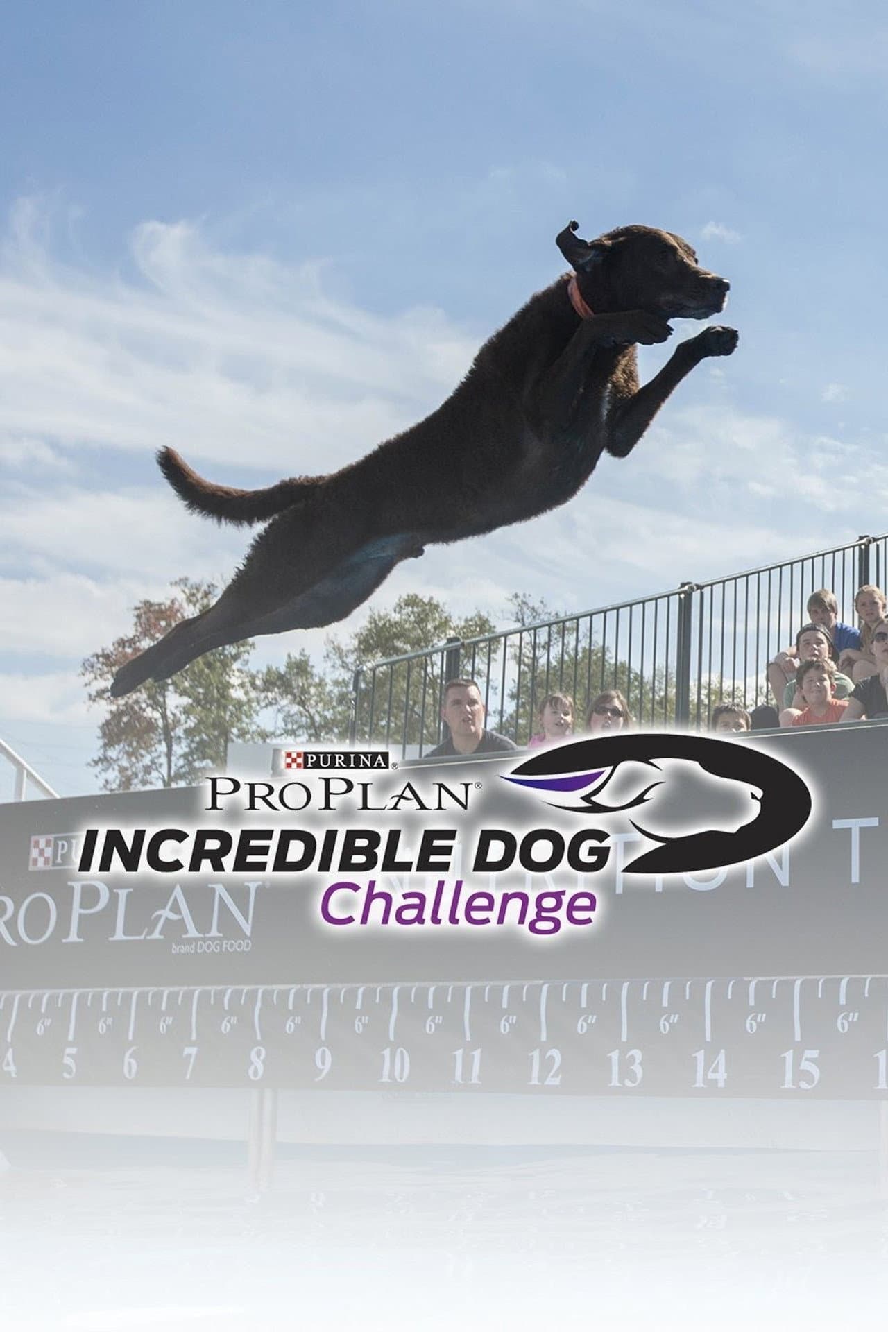 The Incredible Dog Challenge Tour preview 1