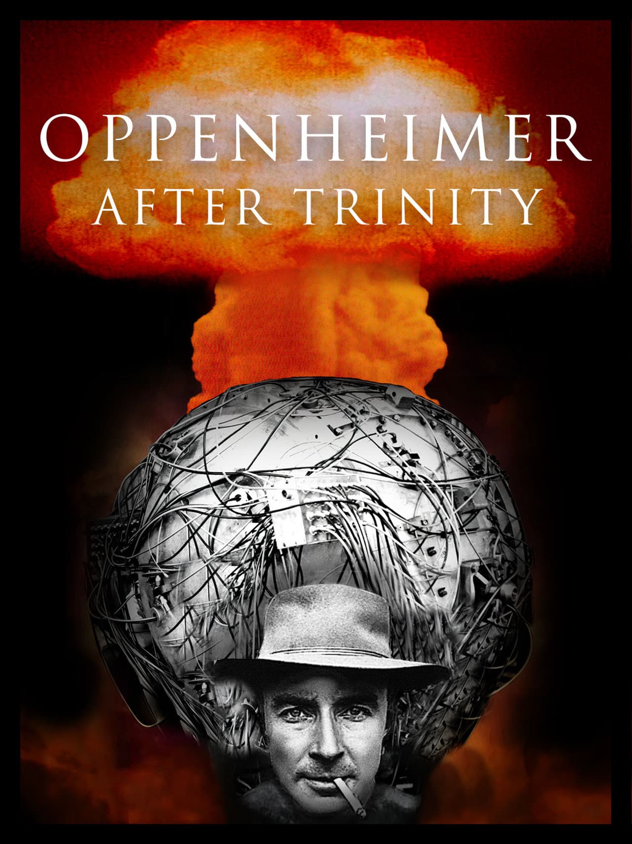 Oppenheimer After Trinity preview 2