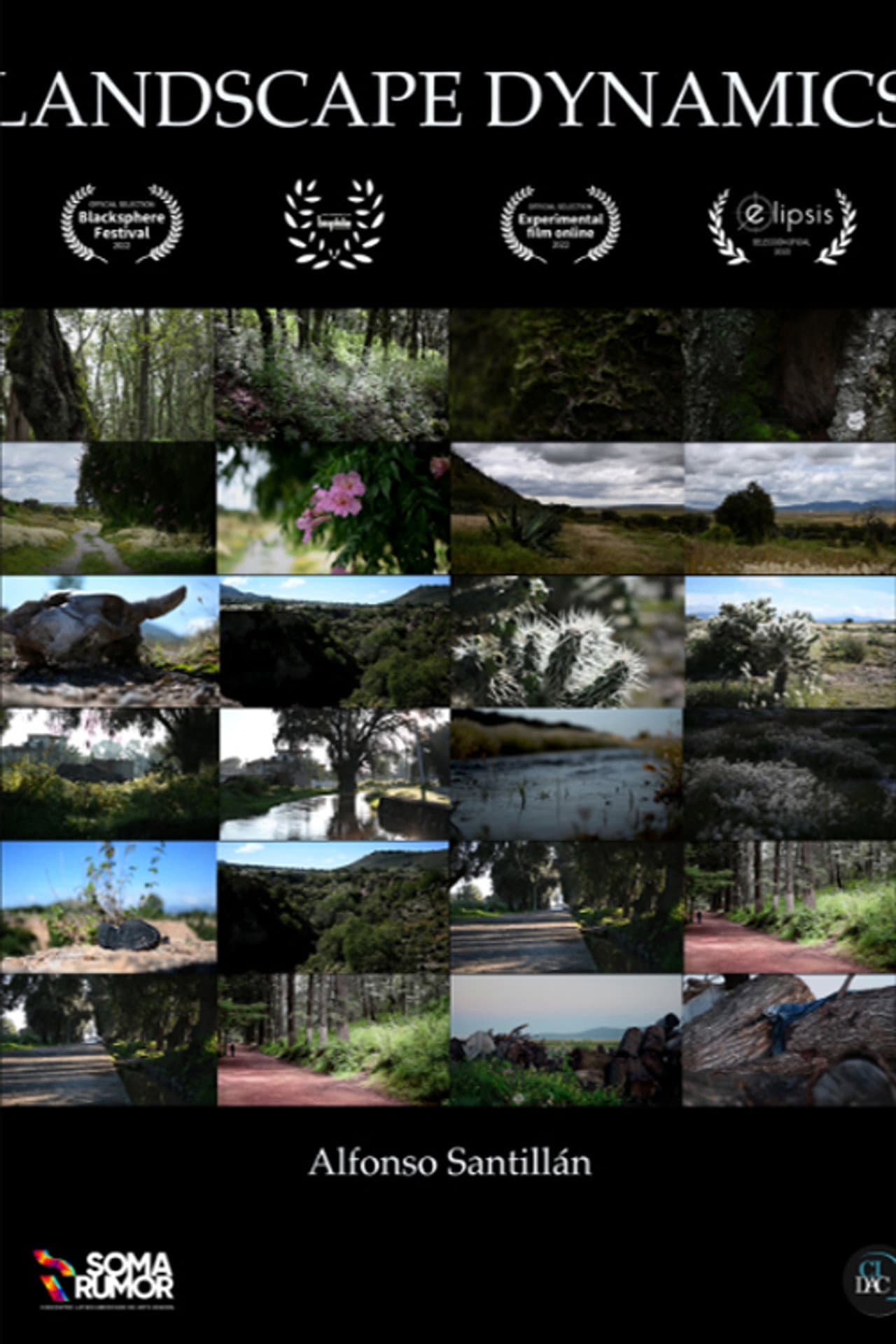 Landscape dynamics preview 2