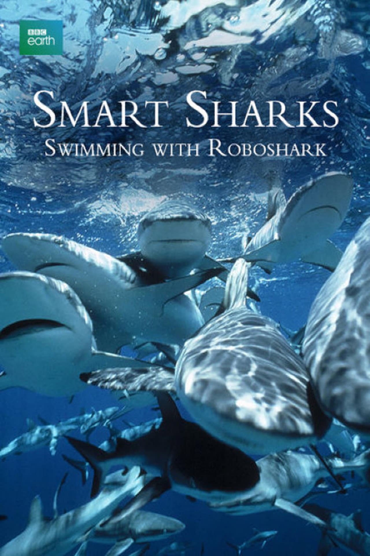 Smart Sharks: Swimming With Roboshark preview 1
