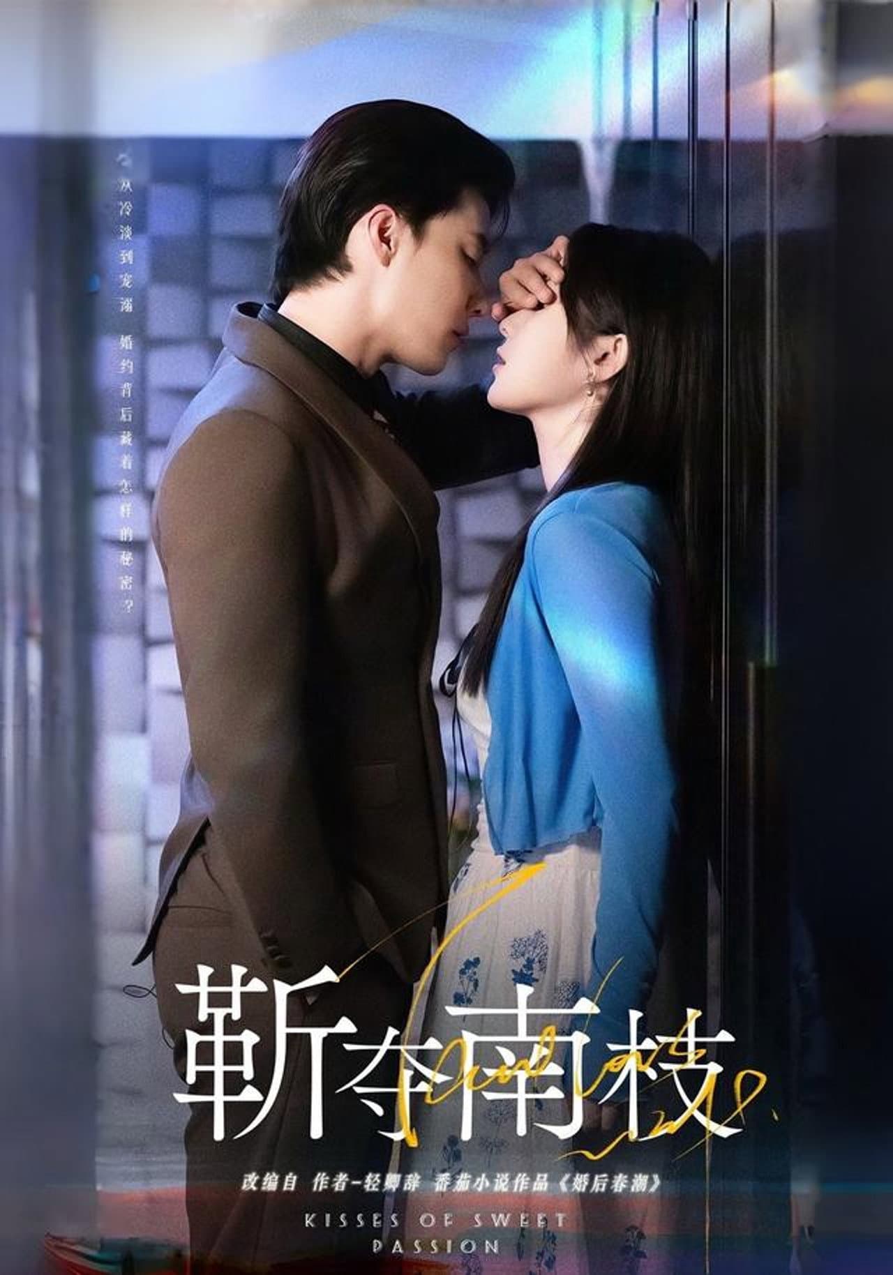 靳夺南枝 preview 1