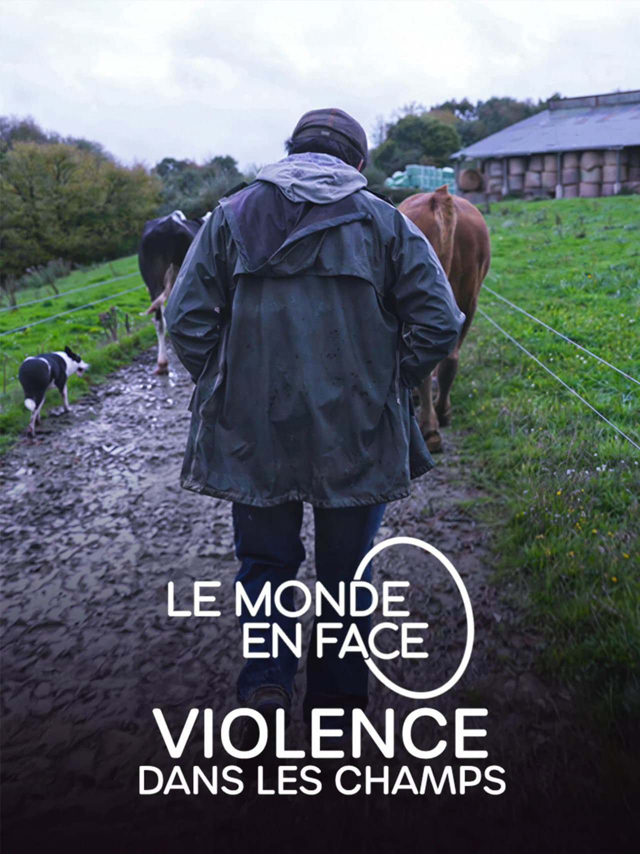 Violence dans les Champs preview 2