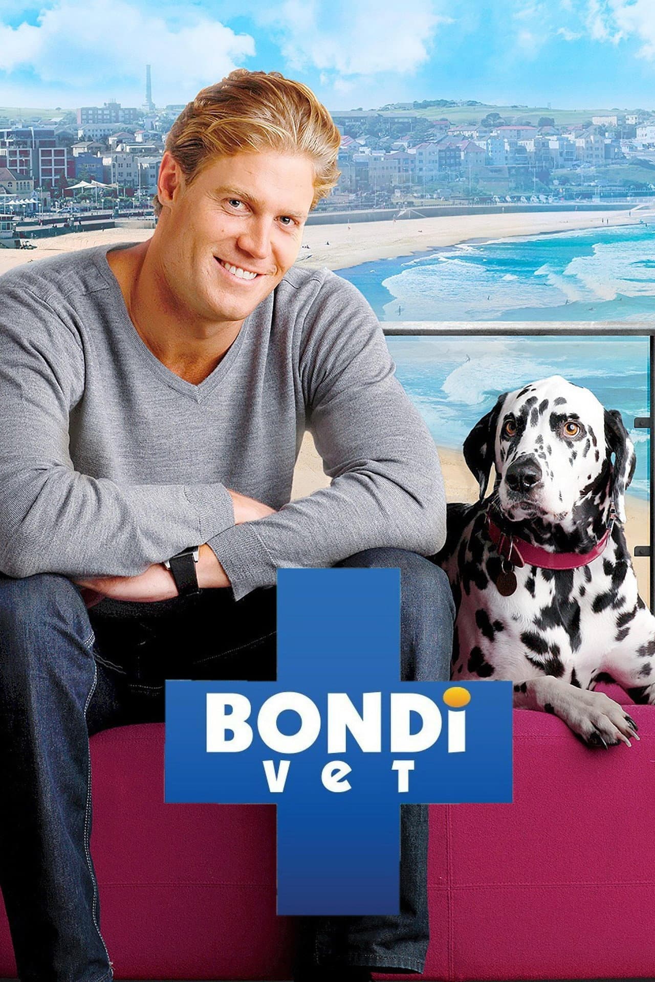 Bondi Vet preview 2