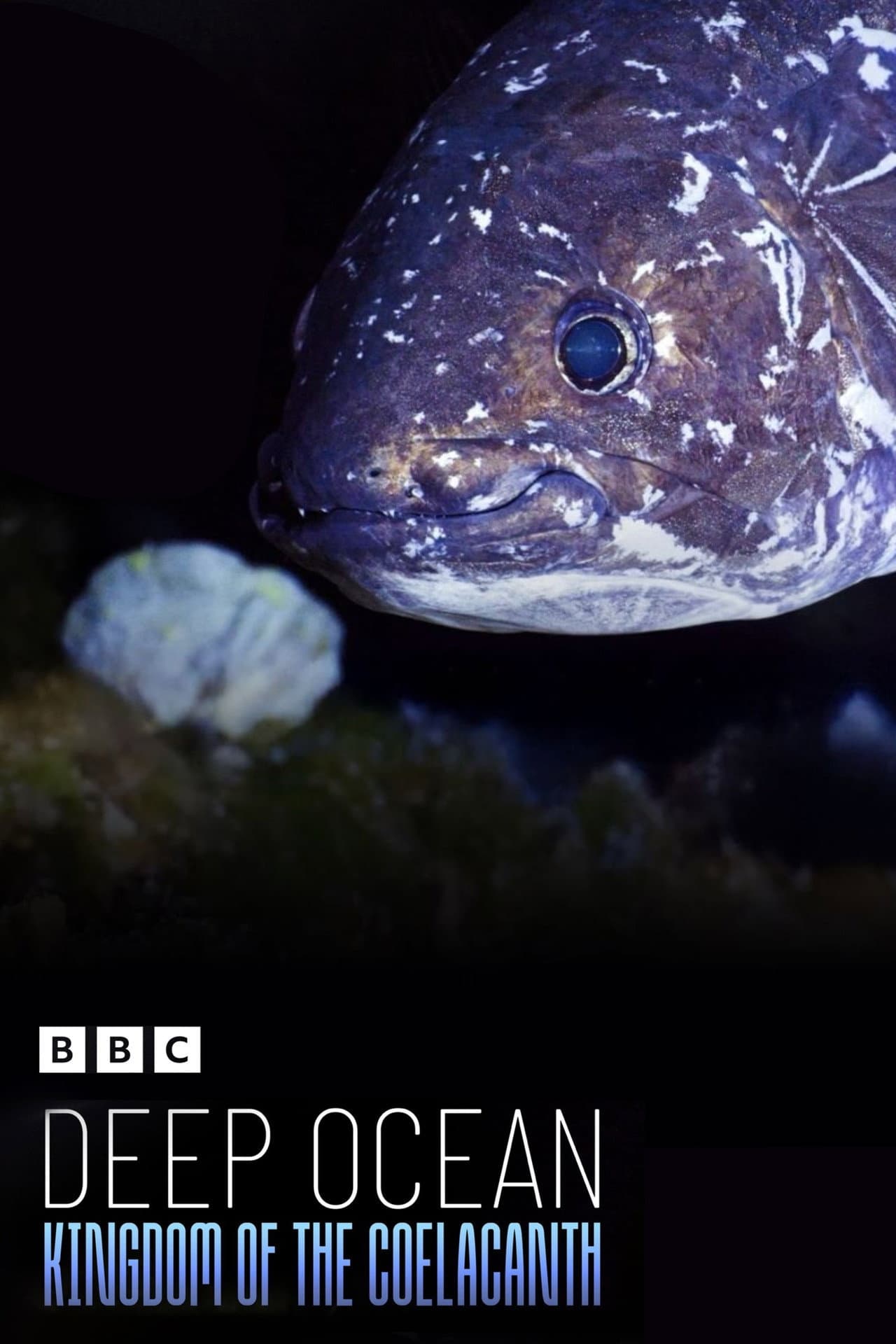 Deep Ocean: Kingdom of the Coelacanth preview 2