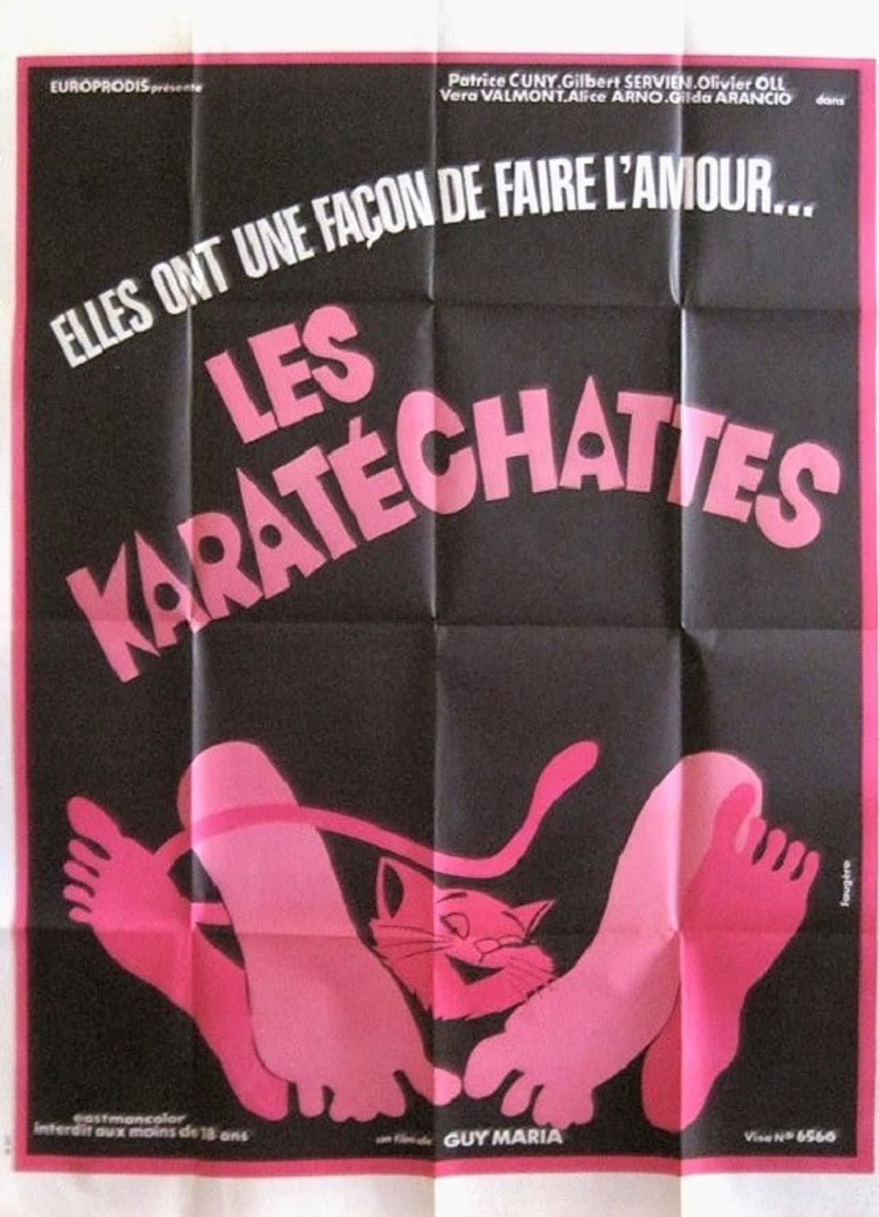 Les pornochattes preview 1